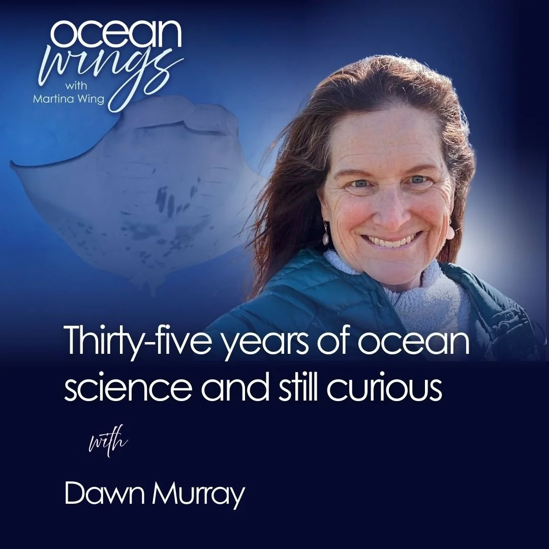 Understanding the ocean as one connected system