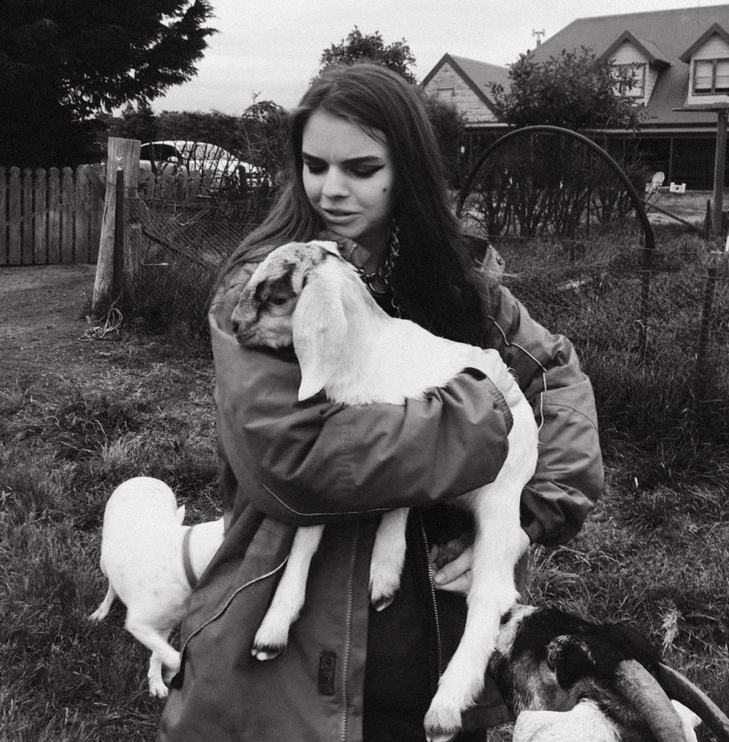 Quartz VII Profile Pic.png