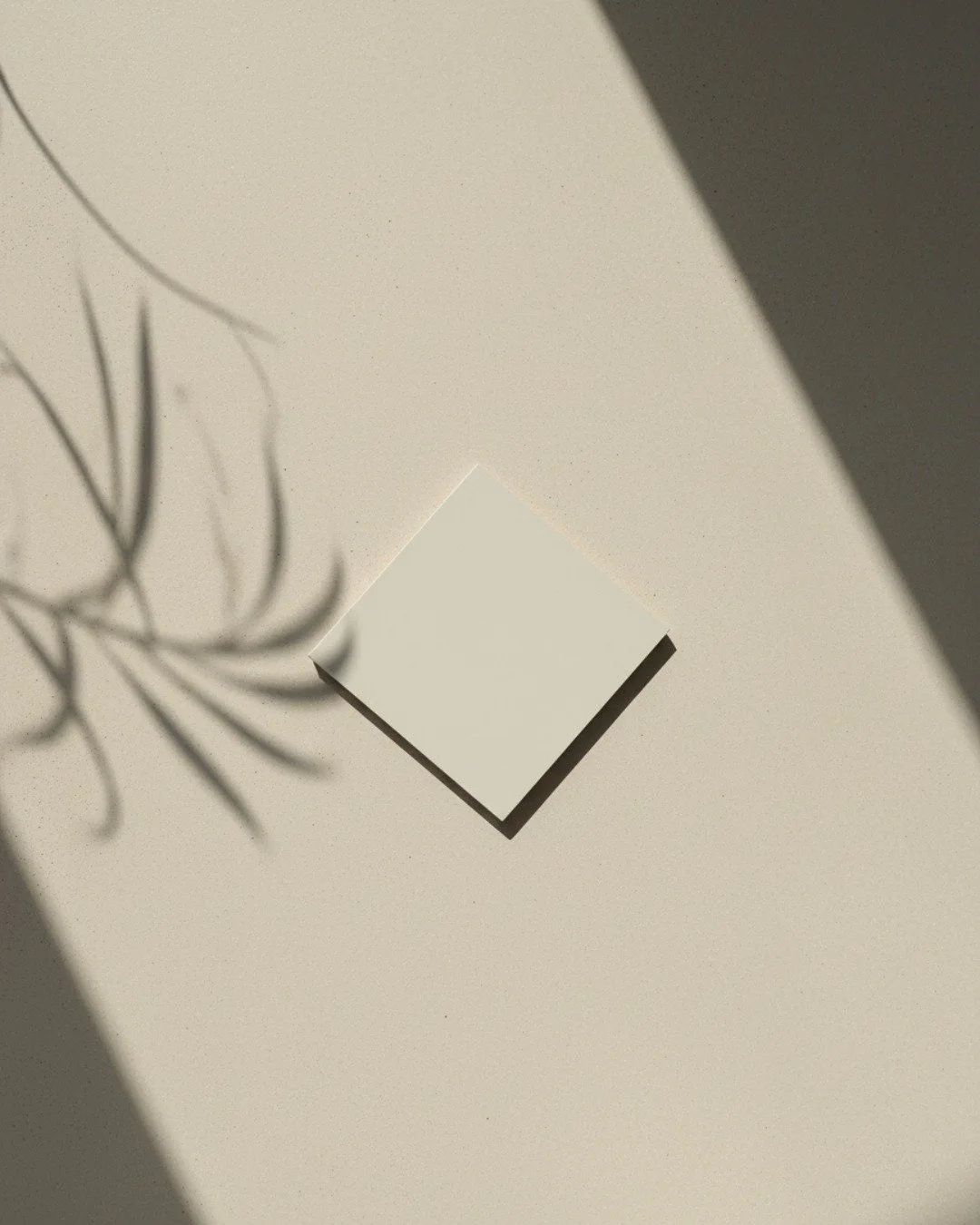 ☀️ Lumi&egrave;re douce, fond min&eacute;ral, et deux nouvelles teintes qui font d&eacute;j&agrave; l&rsquo;unanimit&eacute;&hellip;

Nos Coquille et Sable ont rejoint la palette polopolo il y a quelques semaines,
et vous les avez tout simplement ado