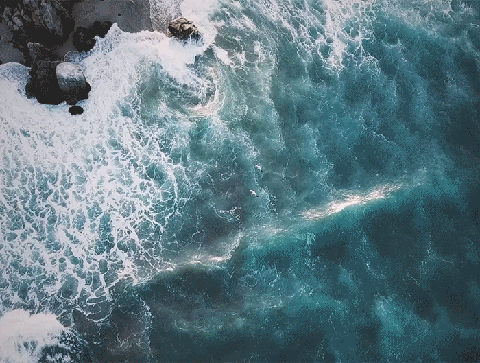 Claudia Dorsch: Brand Landscapes