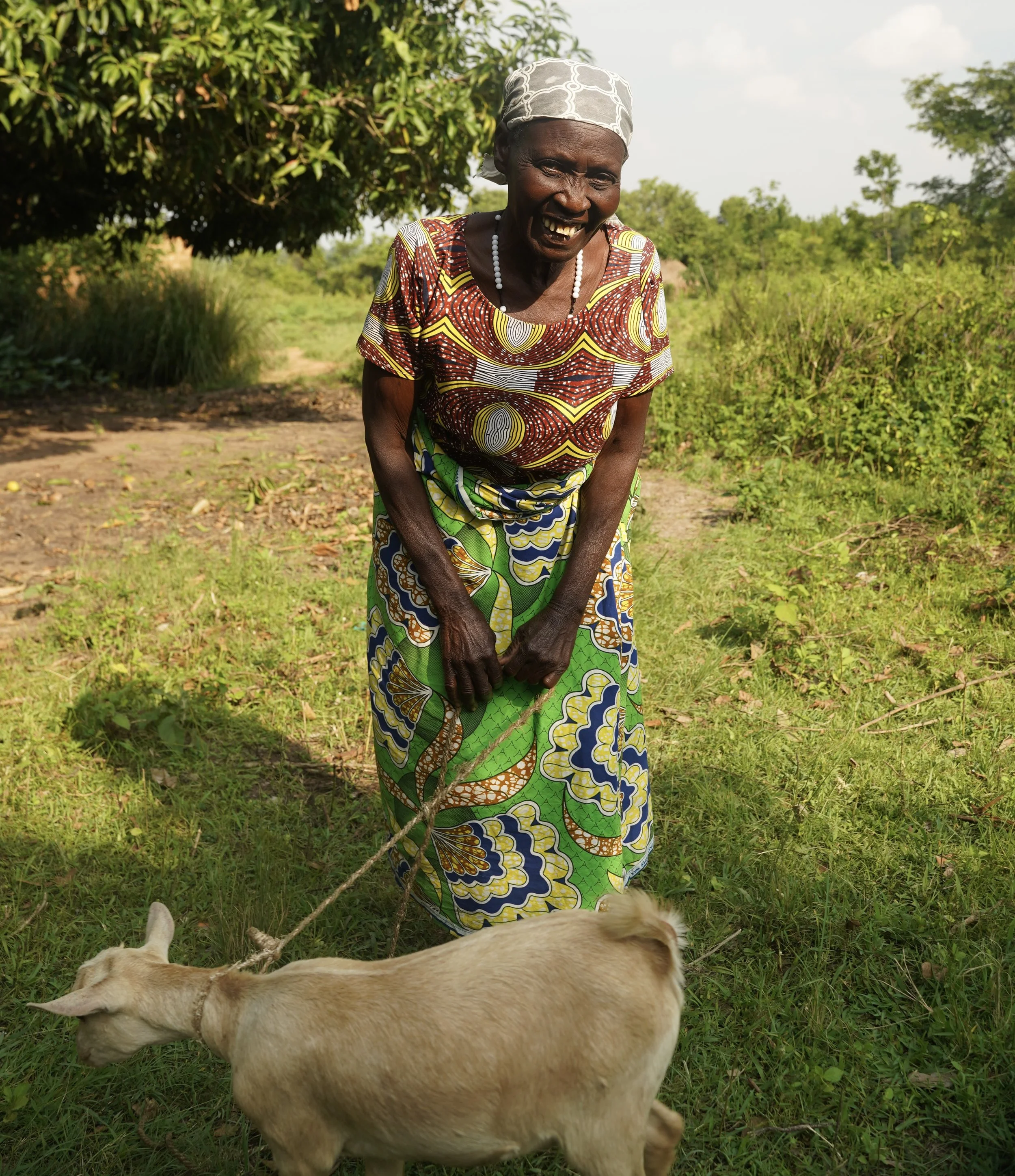 Goats for Widows.