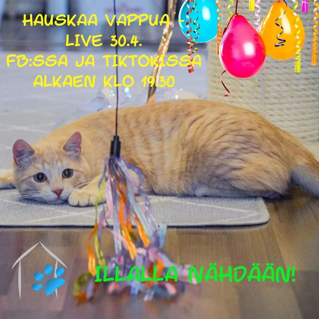 Hauskaa vappua kaikille🥰
Voimme aloittaa sen illalla yhdess&auml;👍😍 tulukaaha mukkaan  #vappu #vierashuoneenl&ouml;yt&ouml;el&auml;imet #el&auml;inpelastus #esy #el&auml;inhoitaja #vierashuonesimo #cats #catstagram #horsesofinstagram #lemmikkimess