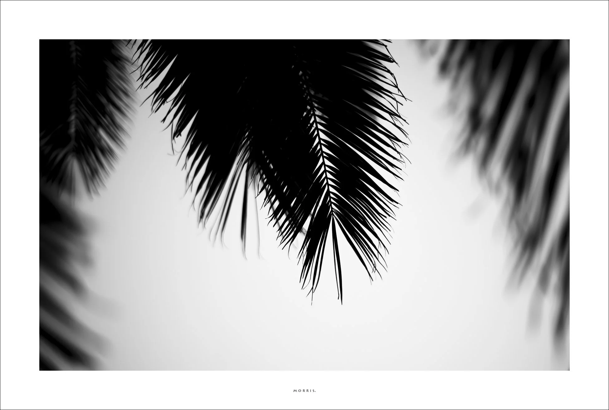 L1004857-zw.jpg