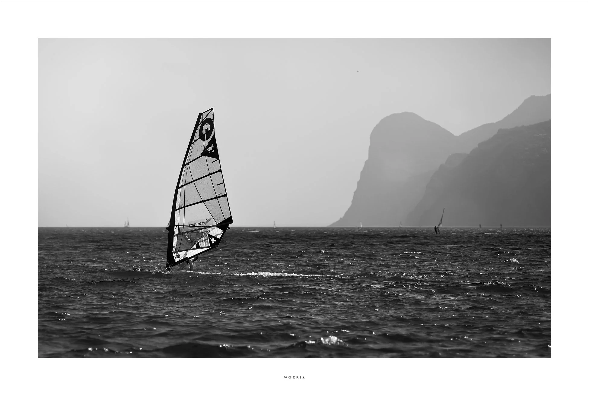 L1004838-zw.jpg