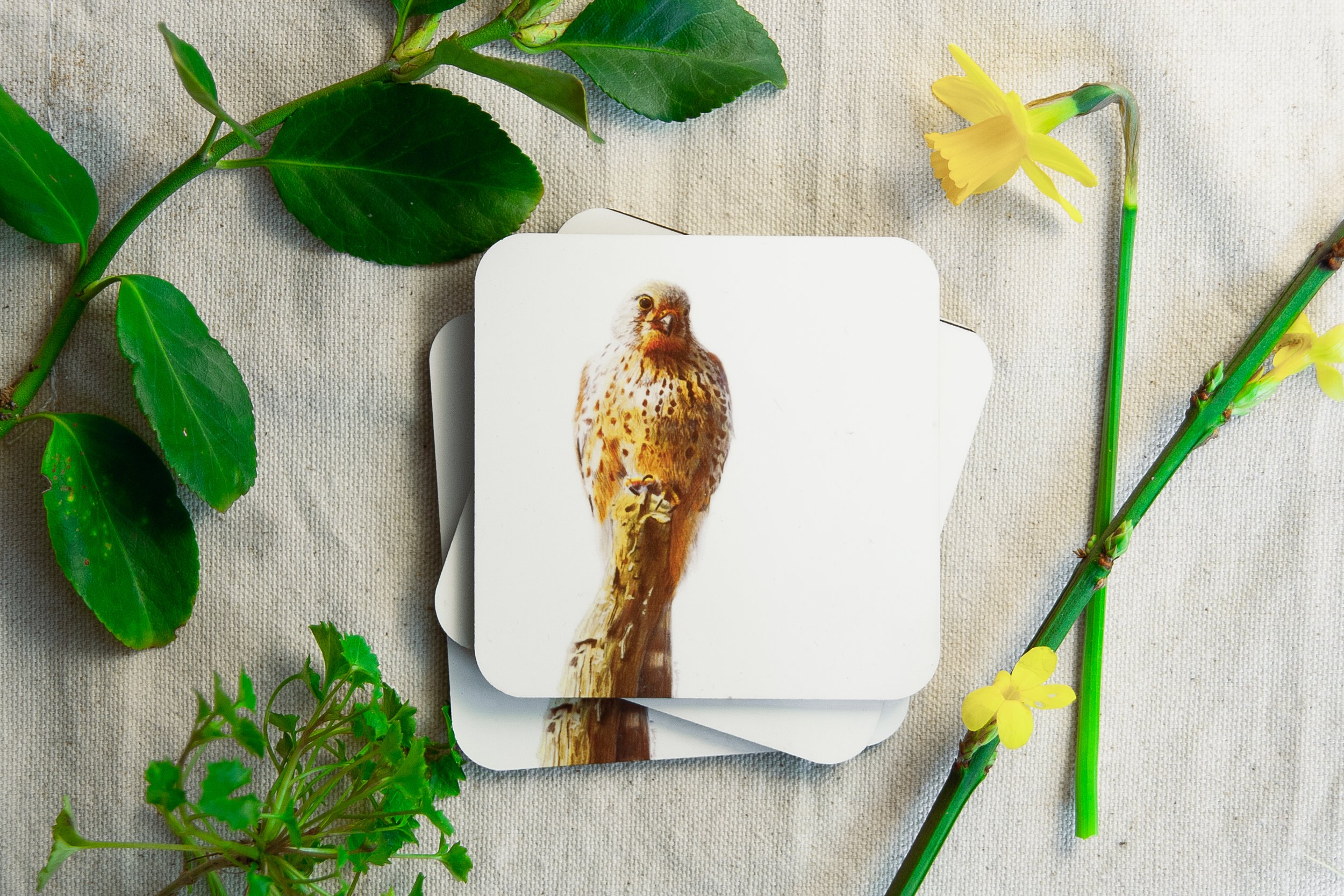 Kestrel Wildlife Coaster