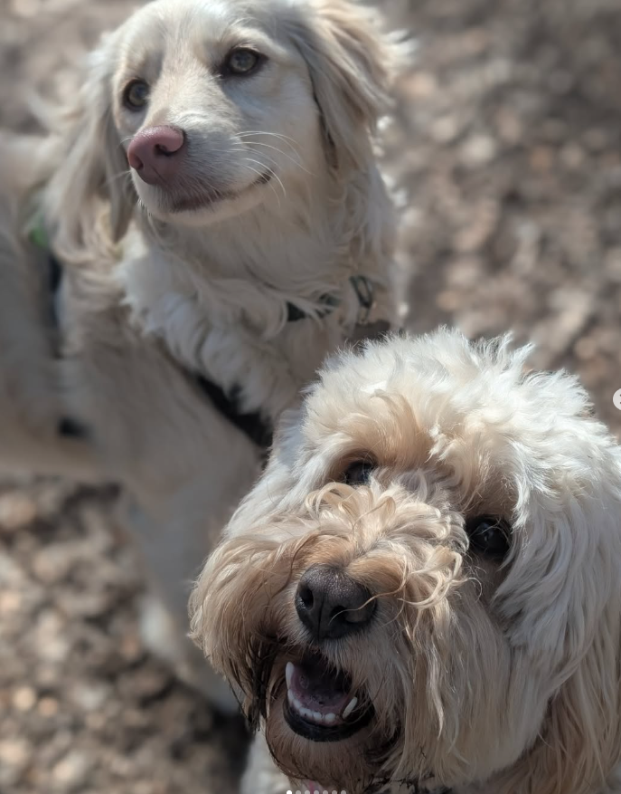 33 Daisy and Nellie.png