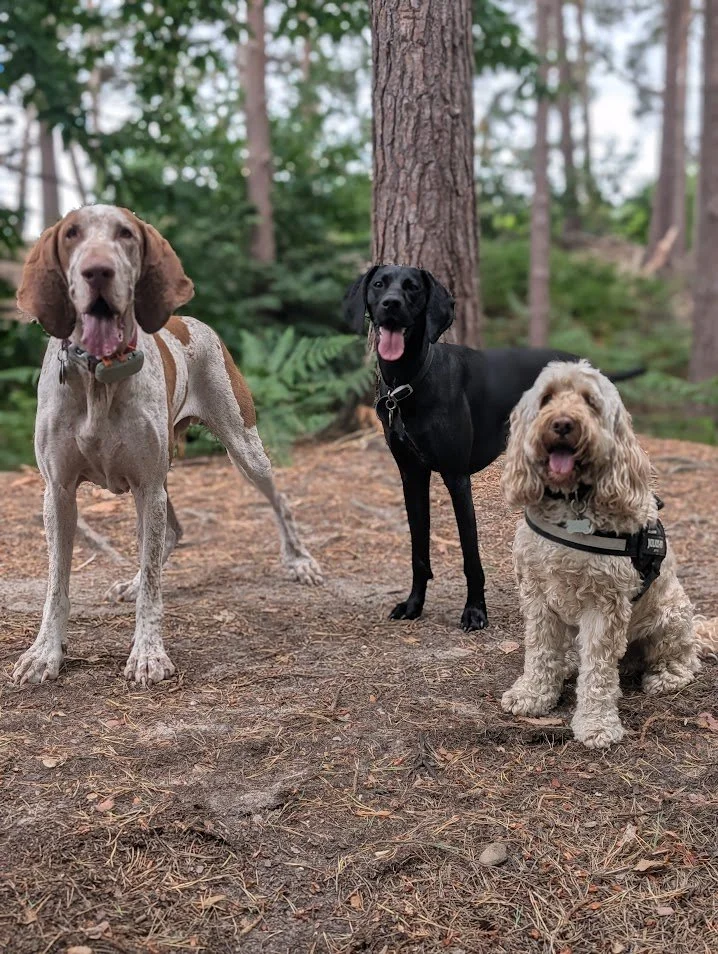 95 group with vinnie.jpg