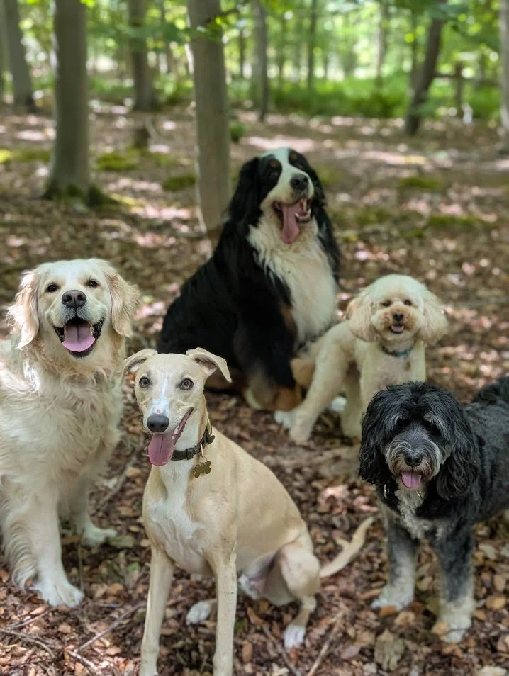 96 group[s.jpg