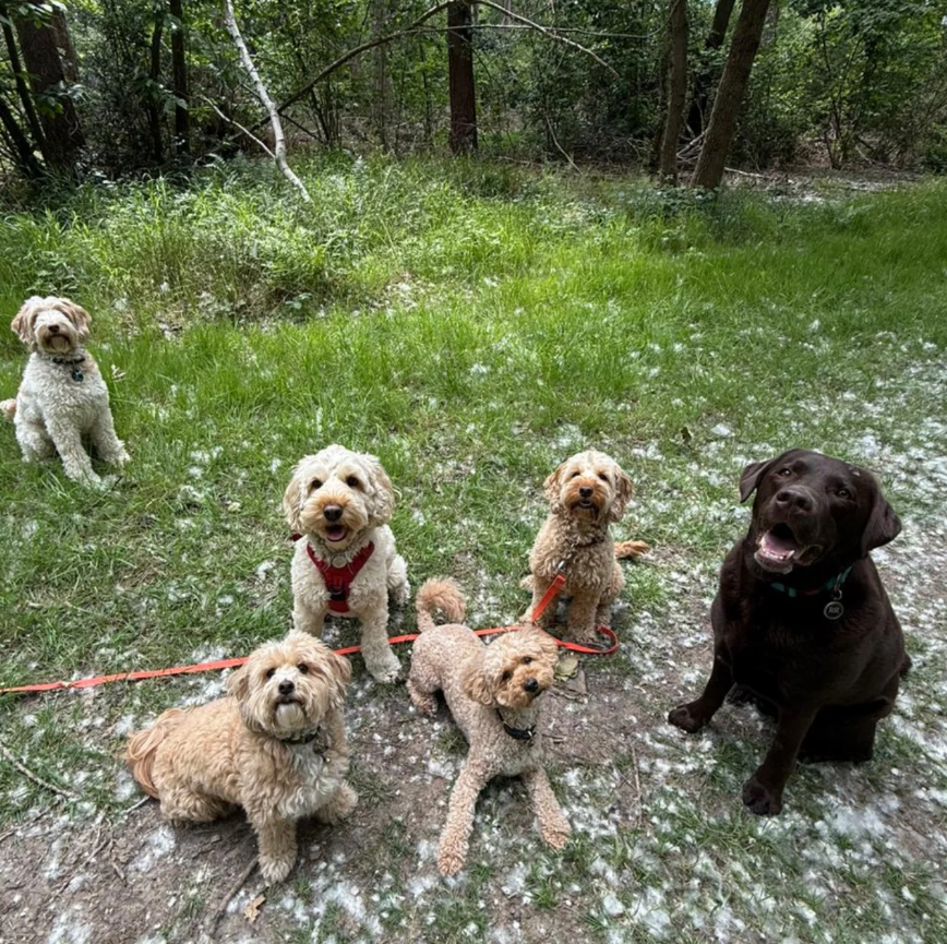 13 Group shot.png