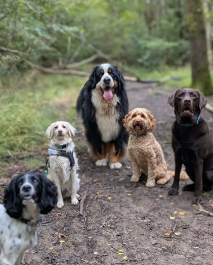 81 Group shot.png