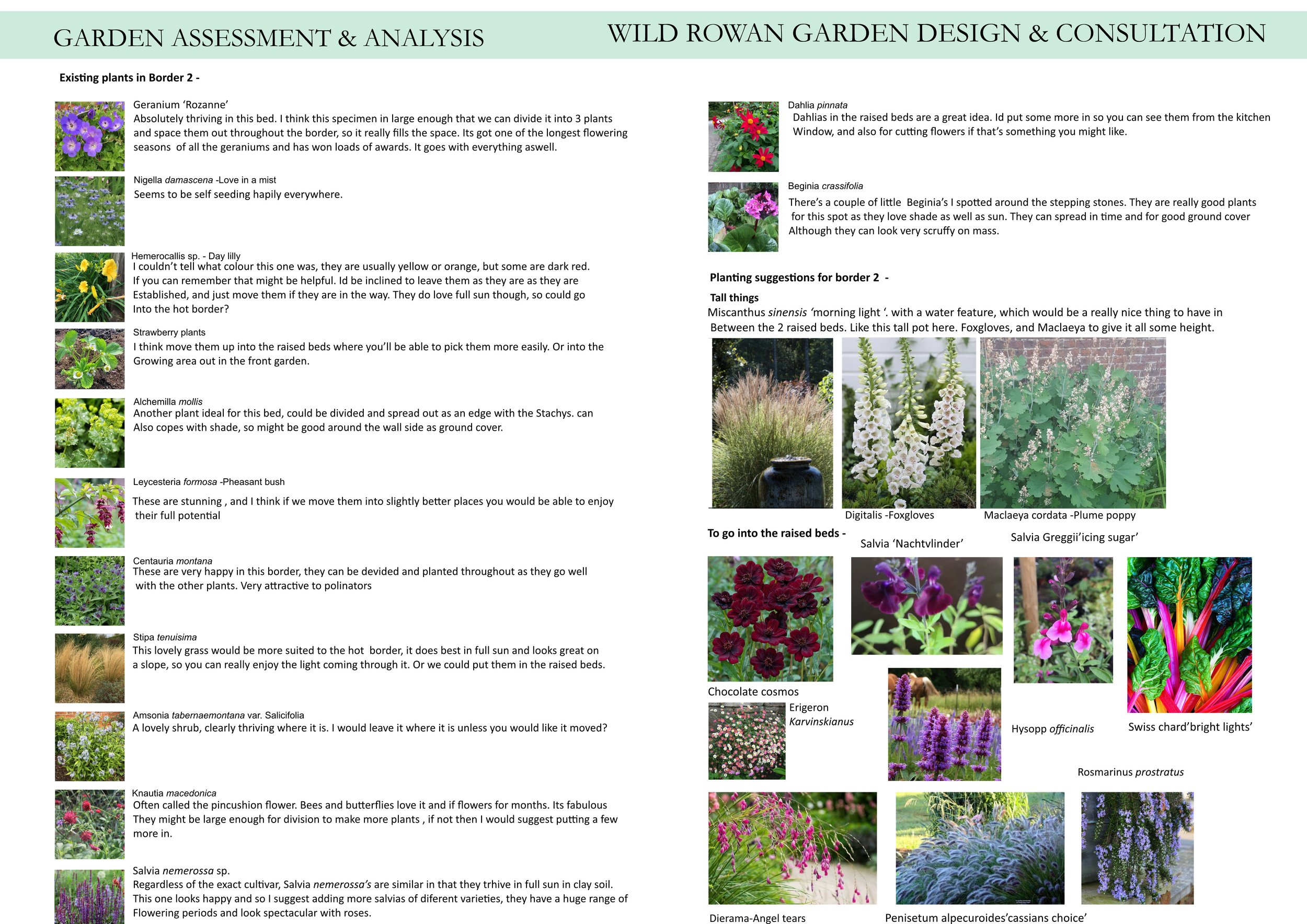 Heazle place notes and questions for Adam_4.jpg
