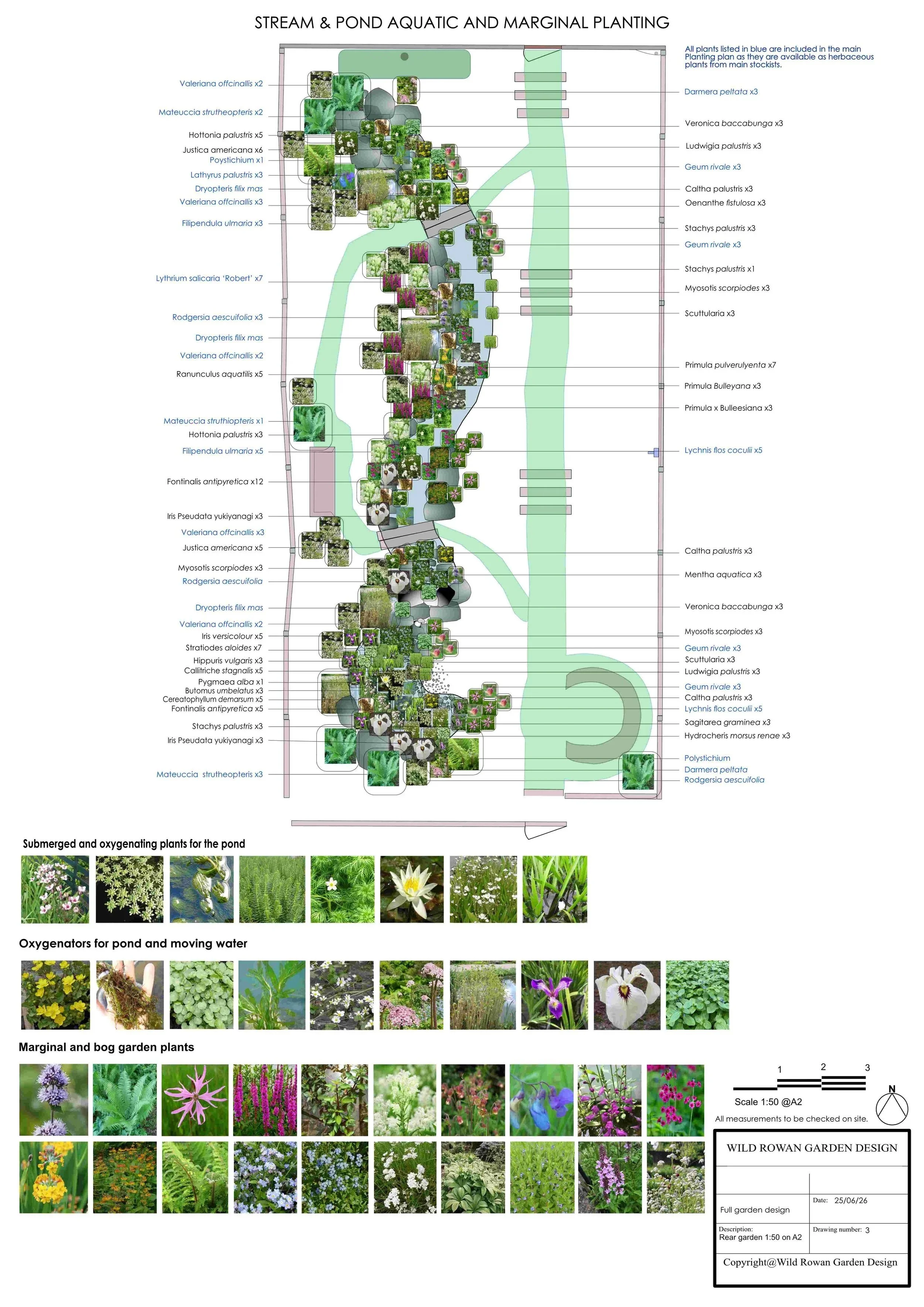 Madison+%26+Doms+wildlife+garden+planting+plan+for+meadow+area+A2+-finished.jpg