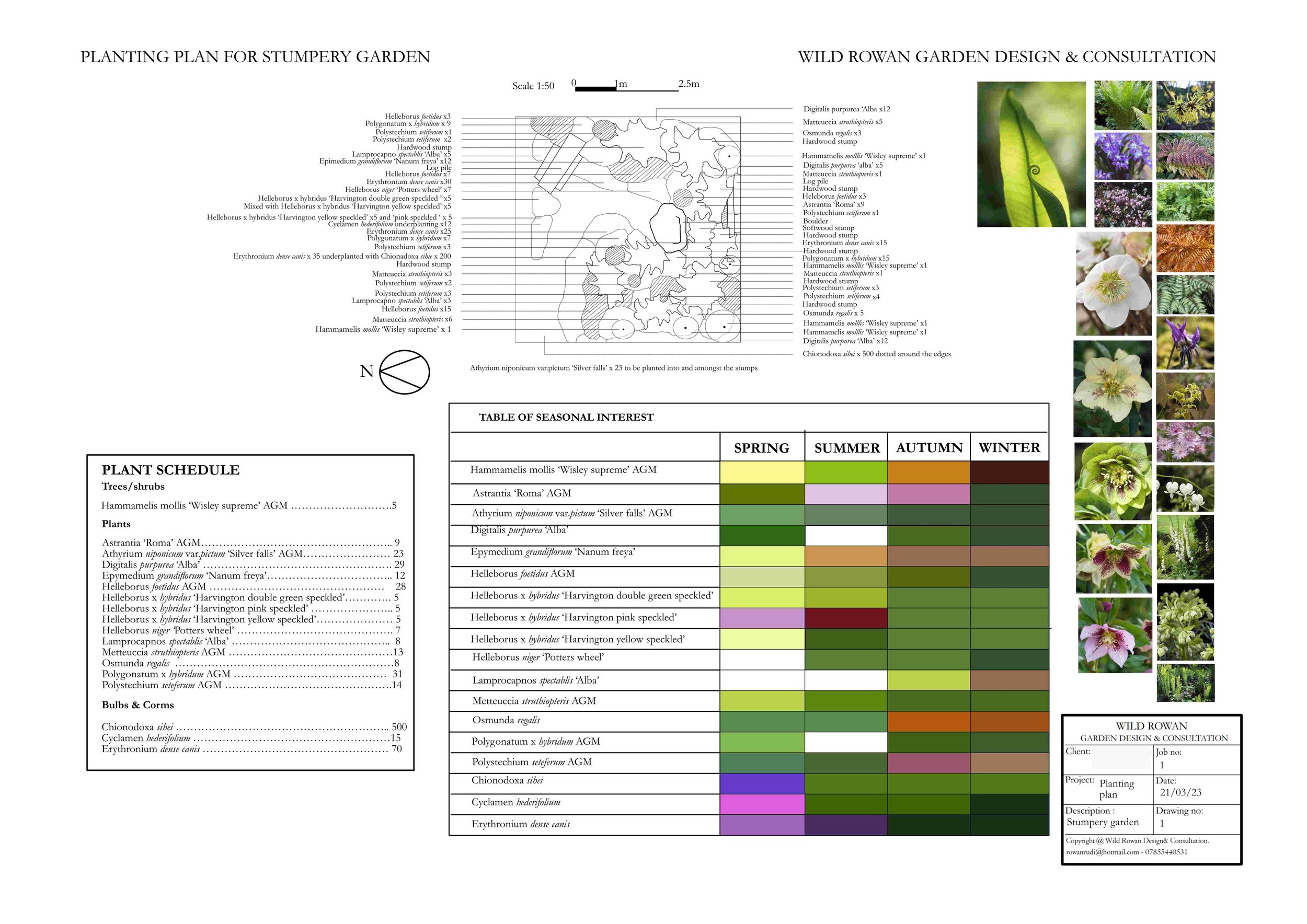 RowanSchofield-Project3-Unit5-21,03,23.jpg