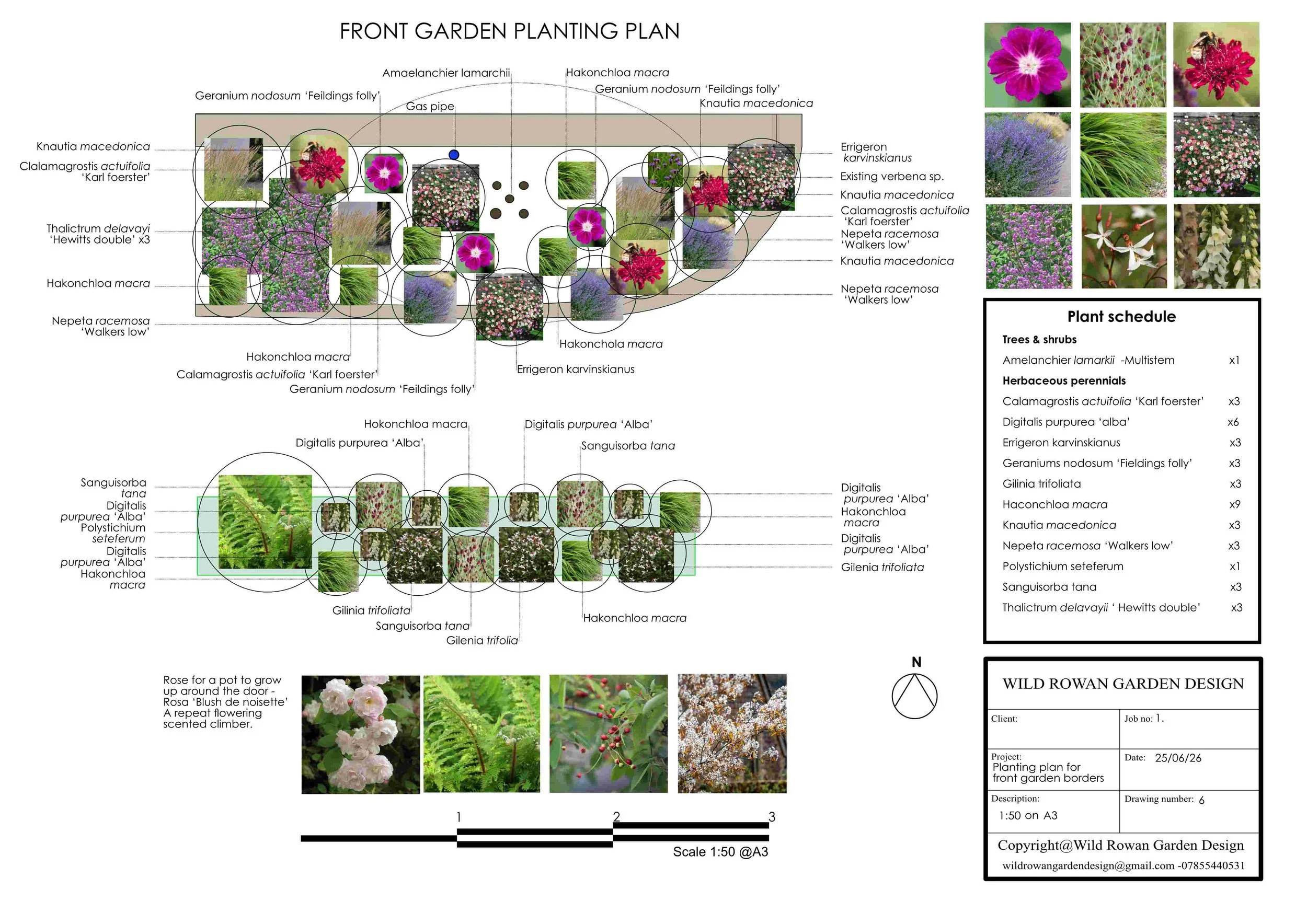 Maddsion & dom's   -Front garden planting plans -Finished.jpg