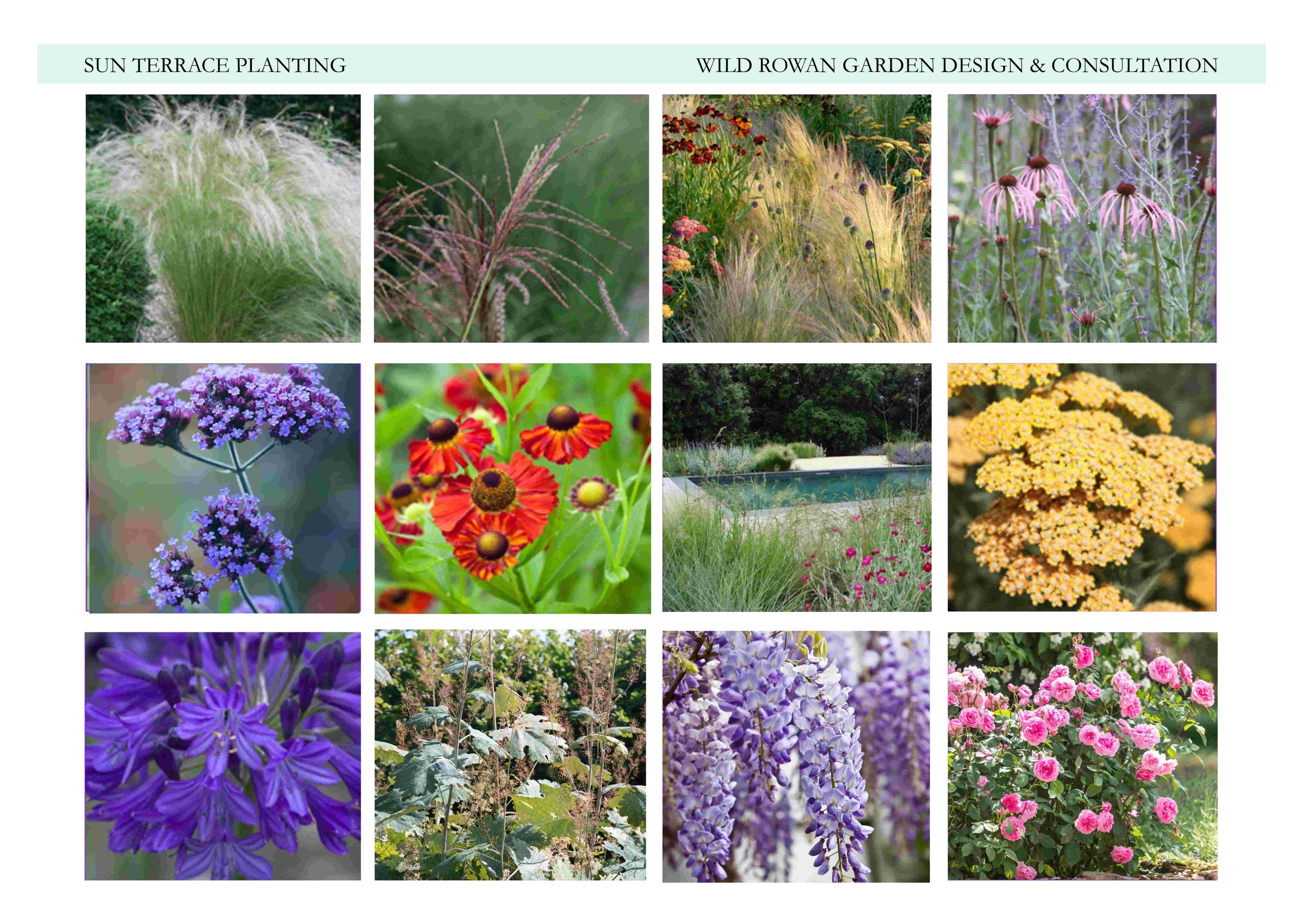 Mood board made up solely for the suggesting of ideas and are not my own photos.