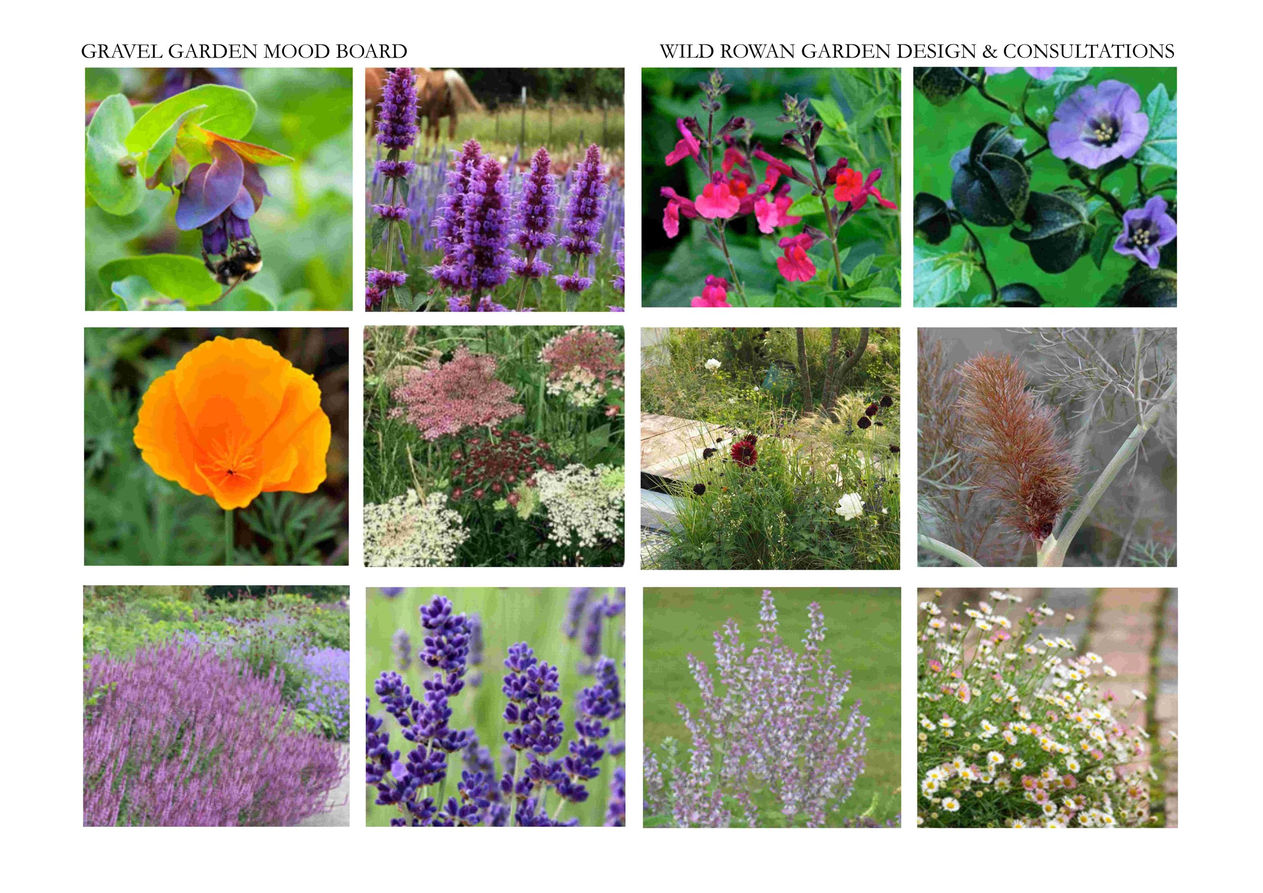 Mood board made up solely for the suggesting of ideas and are not my own photos.