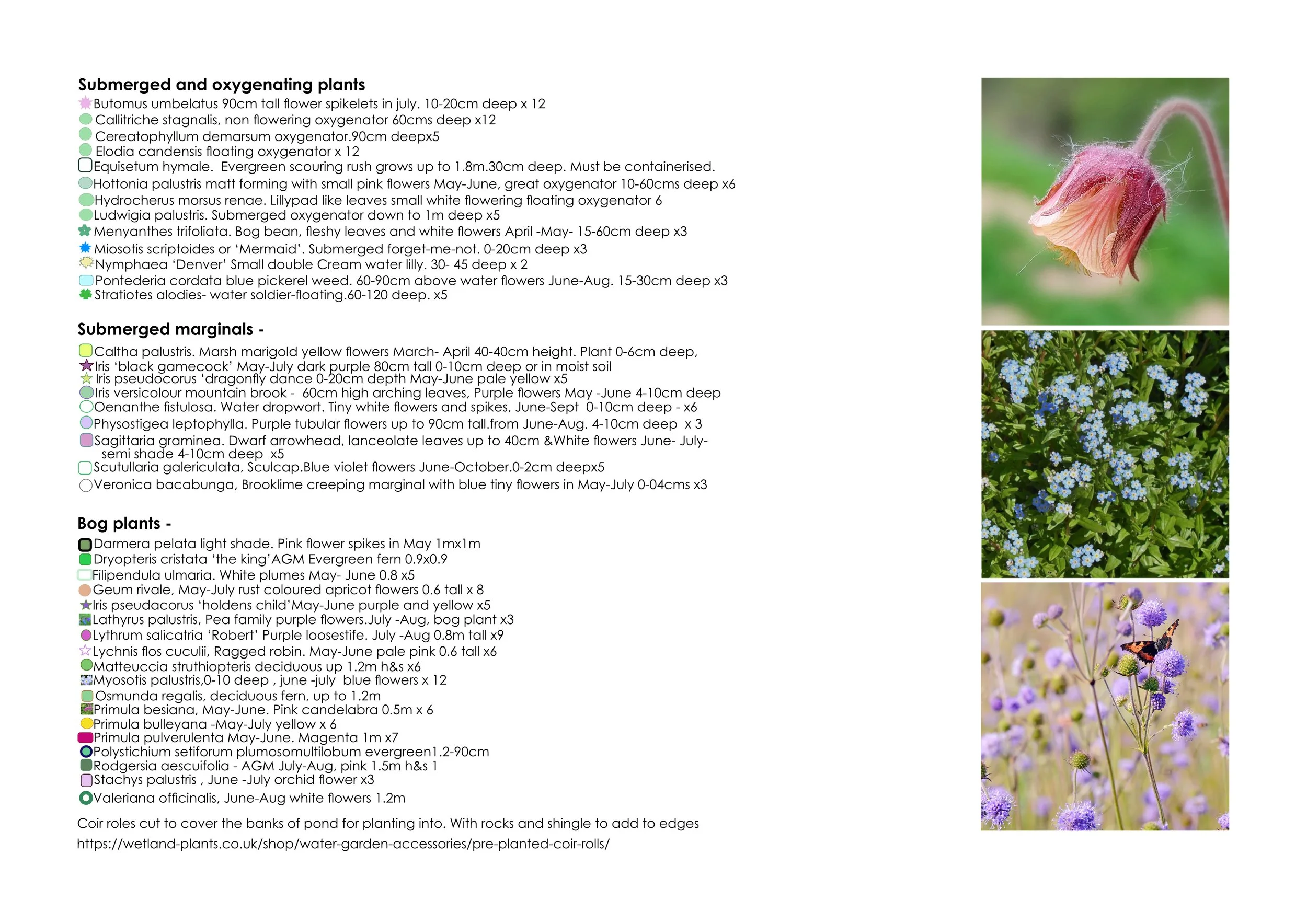 Planting plan no1. Pond planting_2.jpg