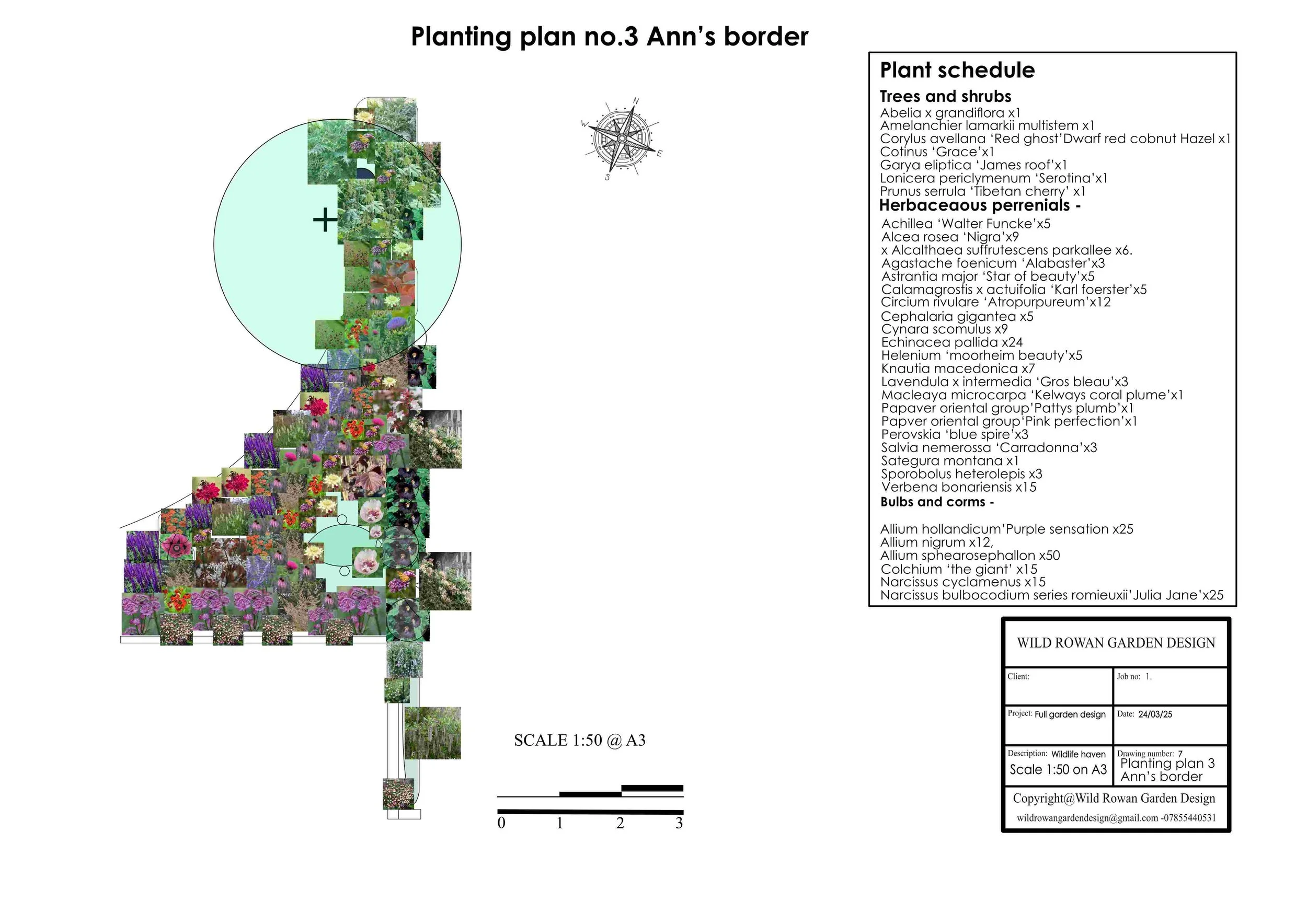 Planting plan no3. Anns border- finished_1.jpg