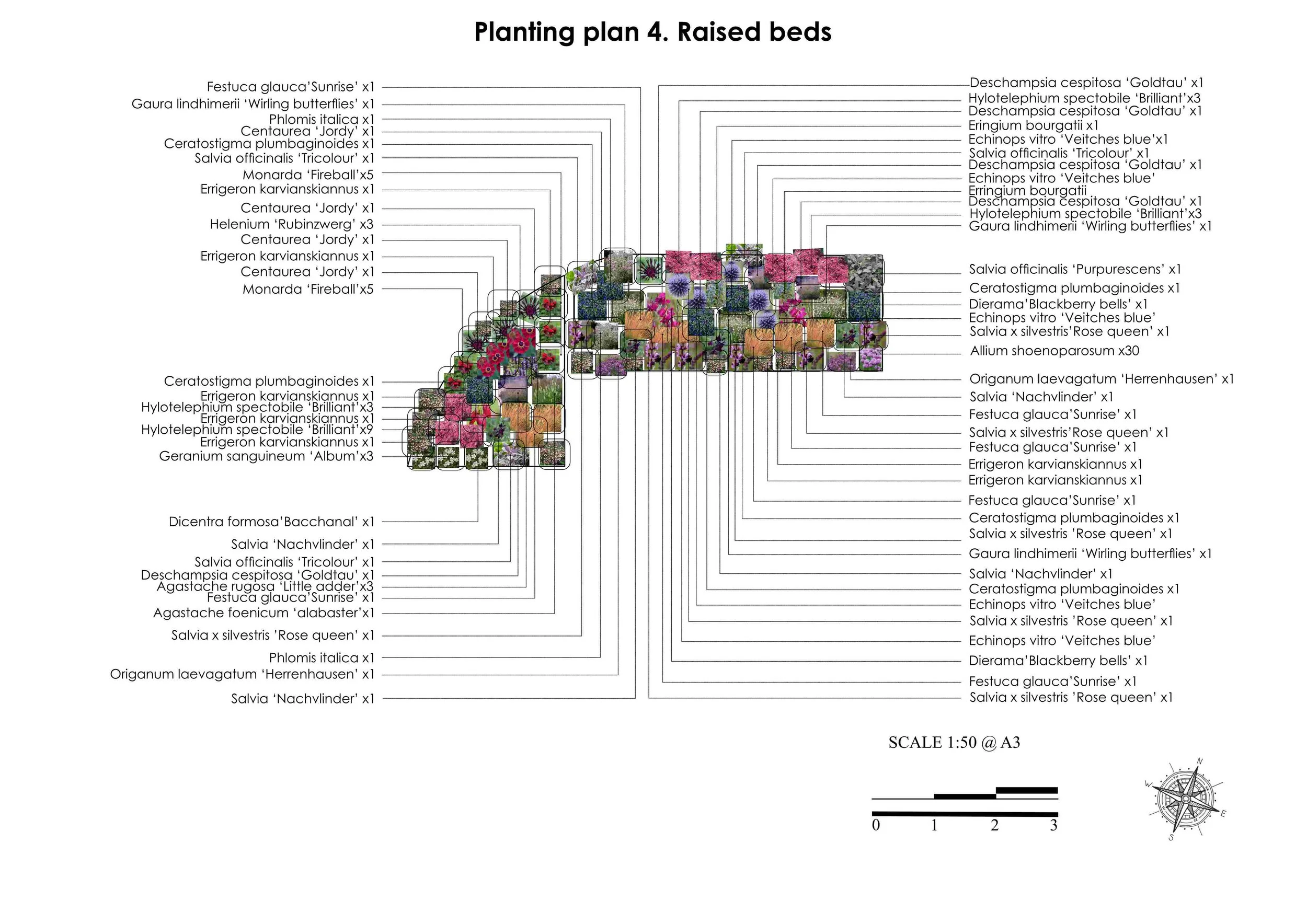Planting plan no4. -raised herb beds -Finished_2.jpg