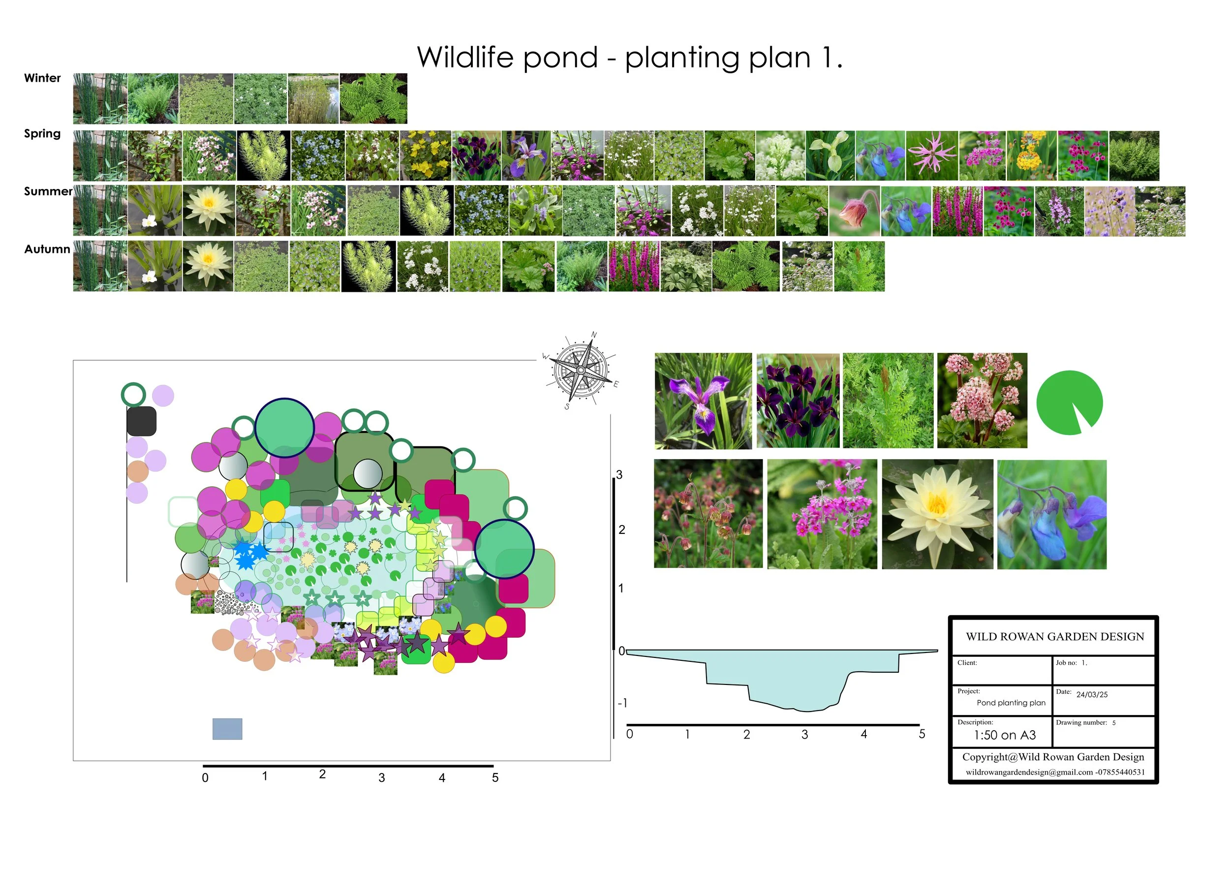 Planting plan no1. Pond planting_1.jpg