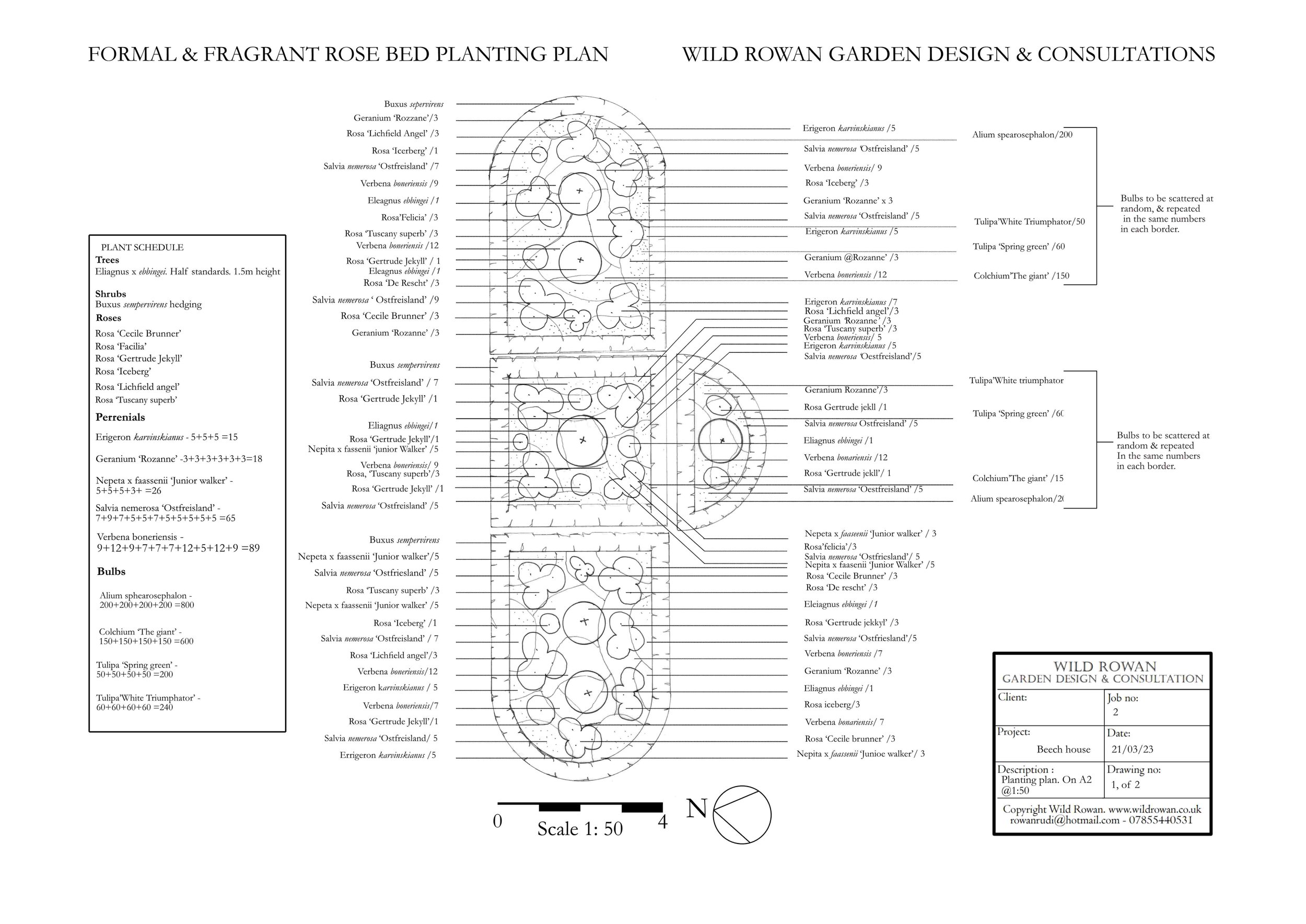 Rowan Schofield - Project 2- FORMAL ROSE BED PLANTING PLAN.jpg