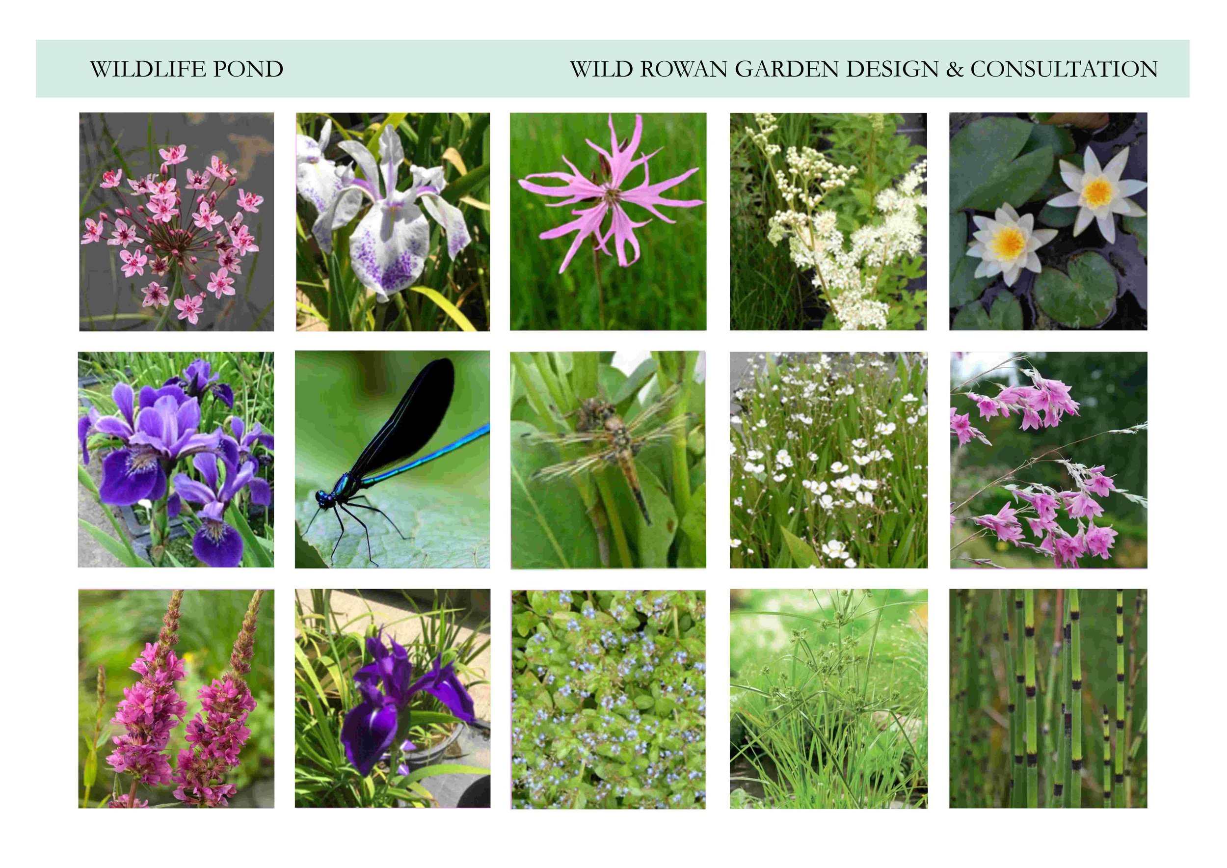 Mood board made up solely for the suggesting of ideas and are not my own photos.