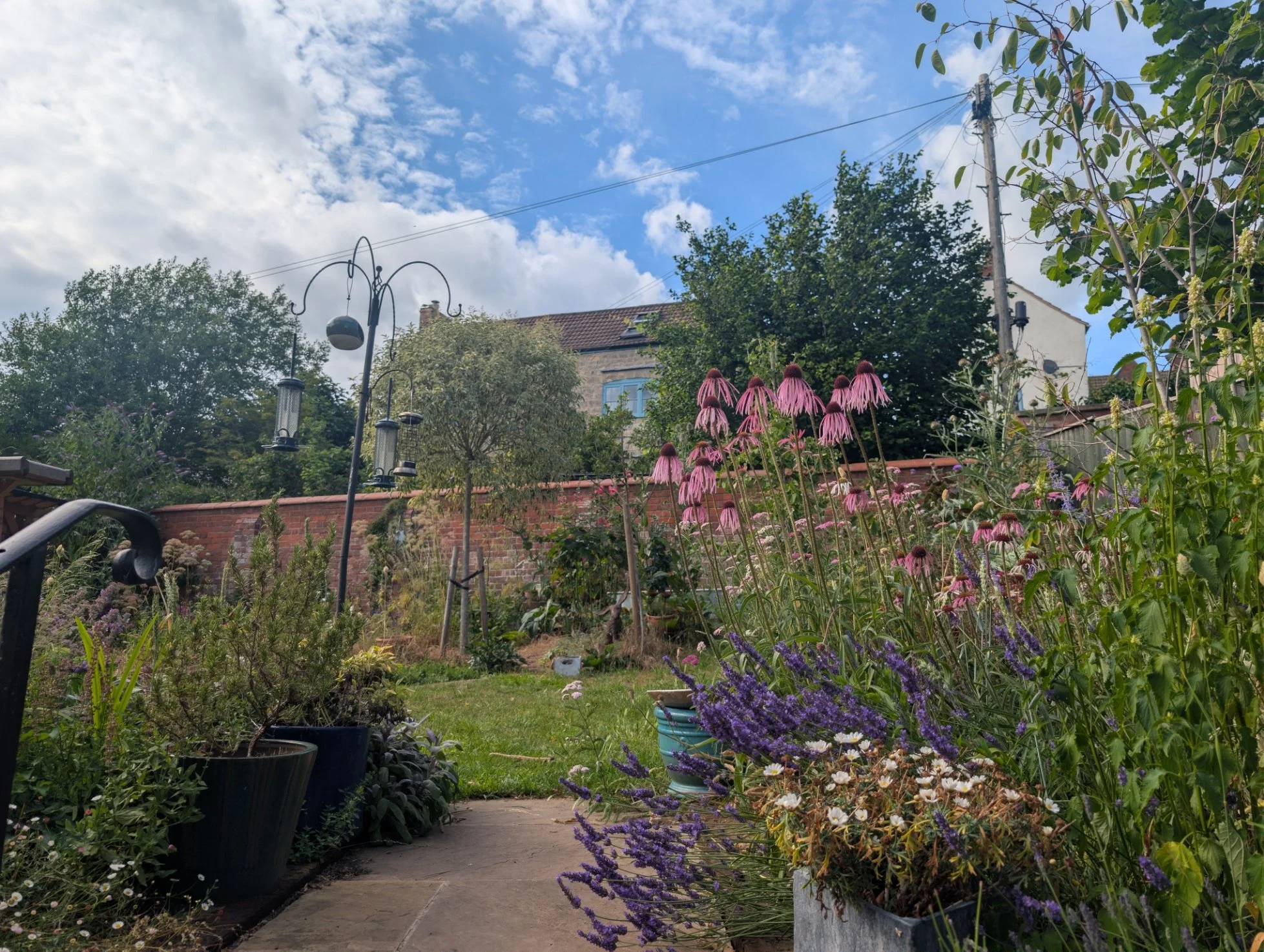 Walled wildlife garden