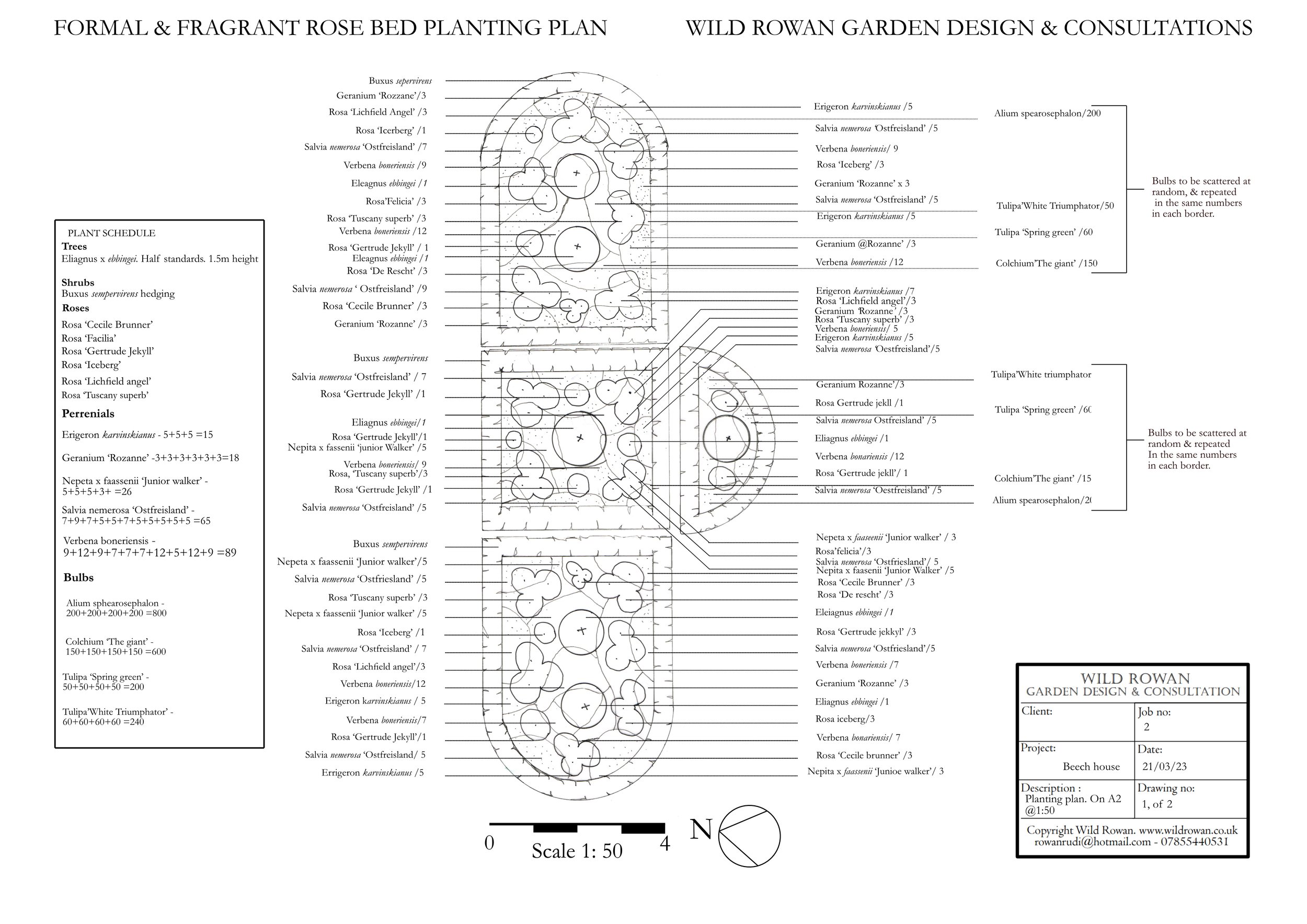 Rowan Schofield - Project 2- FORMAL ROSE BED PLANTING PLAN.jpg