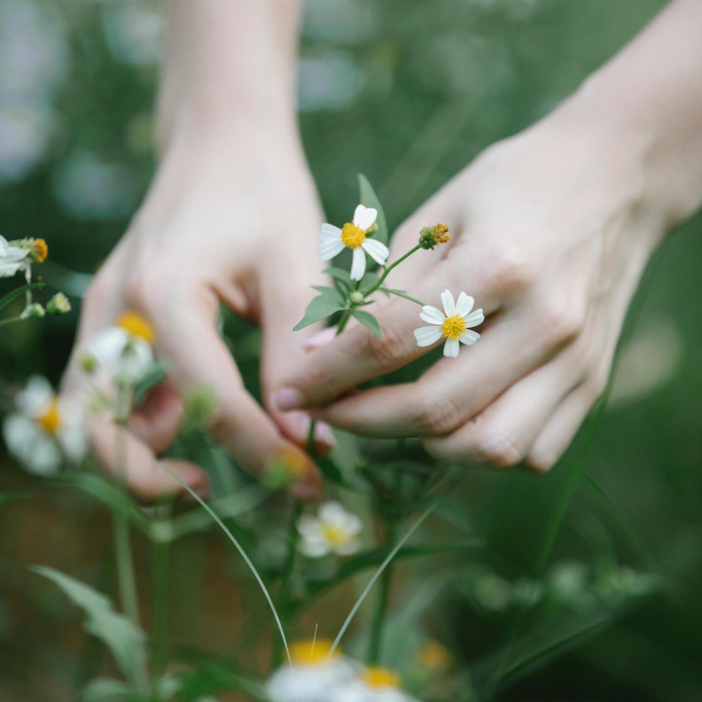 🌞 Let the sun's golden rays guide your path today! ☀️ and the rain clear any cobwebs away. Step outside, breathe in the fresh air, and immerse yourself in nature's embrace. 🌿 Whether it's a leisurely stroll or a full Yoga Nidra practice under the s