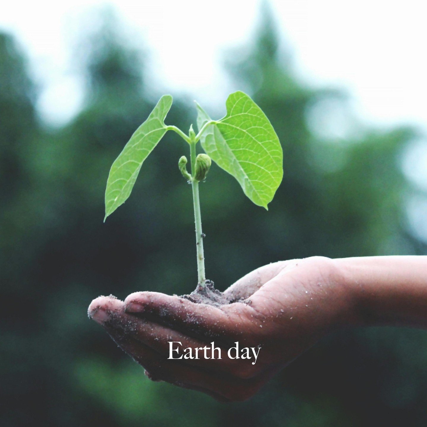 HAPPY EARTH DAY🌎️⁠
⁠
Nature is not just a place to visit, it's our home. Let's rise up and embrace our duty to cherish and protect the incredible planet we share. 🌍✨ ⁠
.⁠
.⁠
.⁠
.⁠
.⁠
.⁠
⁠
#HonouringMotherEarth #OurResponsibility #EarthGuardians