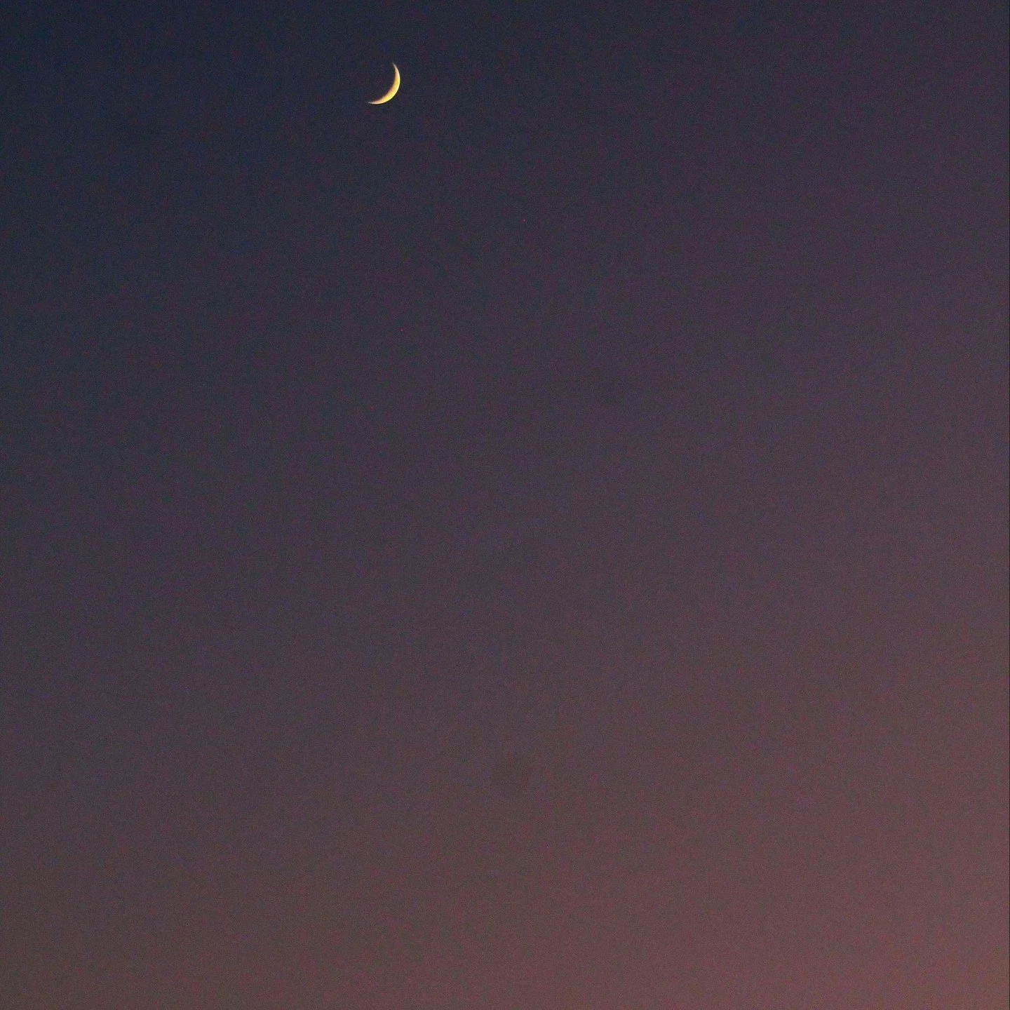 🌑 Tonight&rsquo;s New Moon⁠
⁠
The sky is dark tonight &mdash; not empty, but full of beginnings we can&rsquo;t yet see.⁠
New Moons are whispers, not fireworks. They ask us to soften, listen, and return to the place inside where intentions are born.⁠