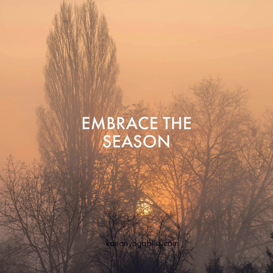 Embrace the Season ✨✨⁠
⁠
Winter invites us into a different kind of rhythm &mdash; one that is slower, softer, and deeply restorative. As the year winds down, it&rsquo;s natural to feel the pull inward&hellip; toward stillness, reflection, and gentle