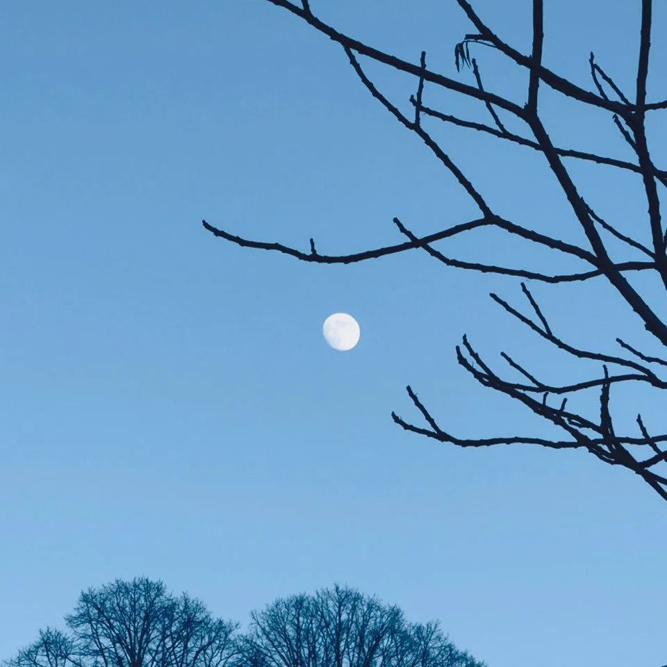 Embrace the Elements ✨✨⁠
⁠
Take a moment today to step outside and really feel the world around you.⁠
Breathe in the coolness of the air.⁠
⁠
Notice the shifting colours of the season.⁠
⁠
Let the sounds, the stillness, the subtle movements of nature s