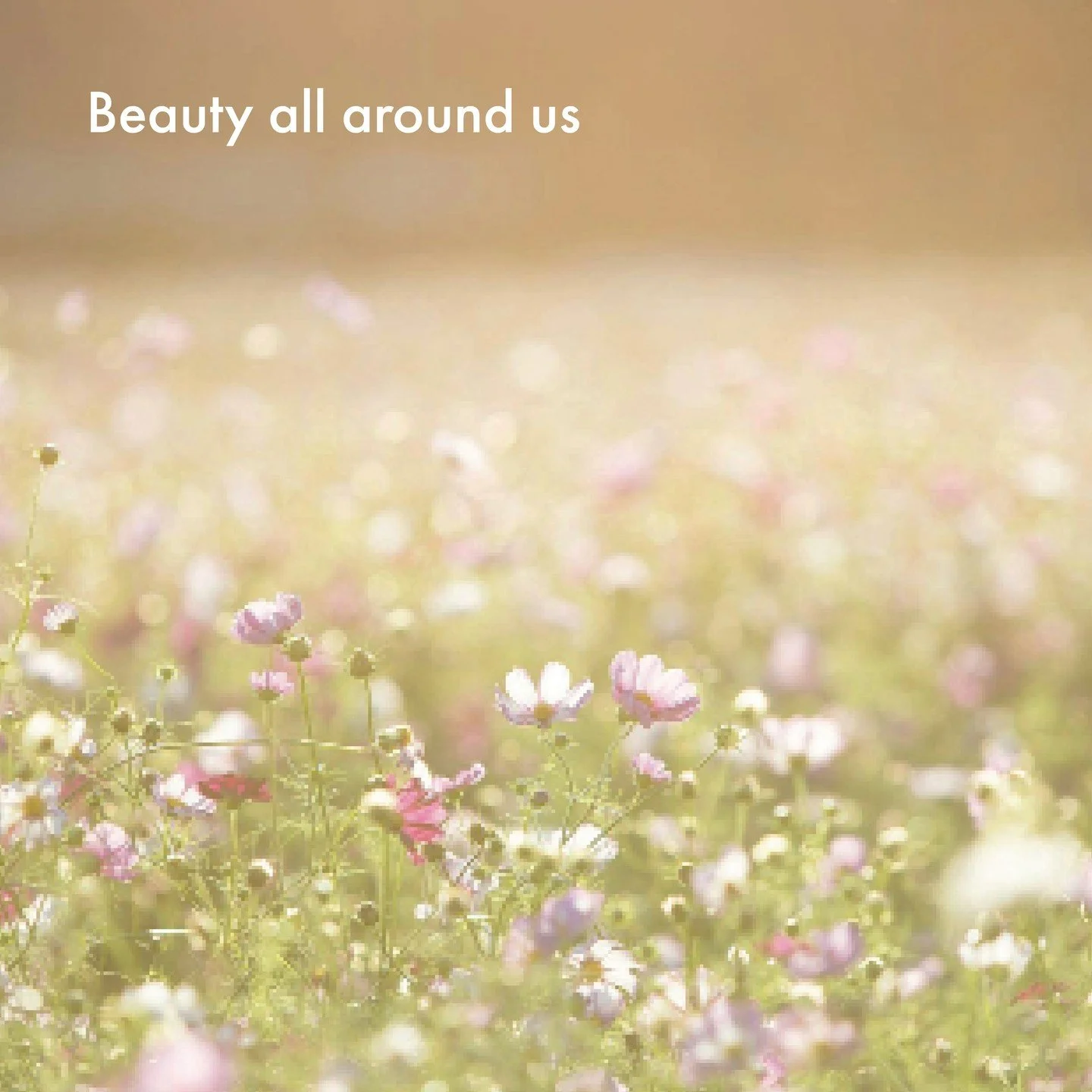 🌸 March Whispers 🌸⁠
⁠
The snowdrops rise.⁠
The daffodils lift their golden faces to the sun.⁠
Spring quietly unfolds around you.⁠
Step outside.⁠
⁠
Place your feet on the grass.⁠
Breathe in the earth&rsquo;s energy.⁠
⁠
Take in all of the beauty all 