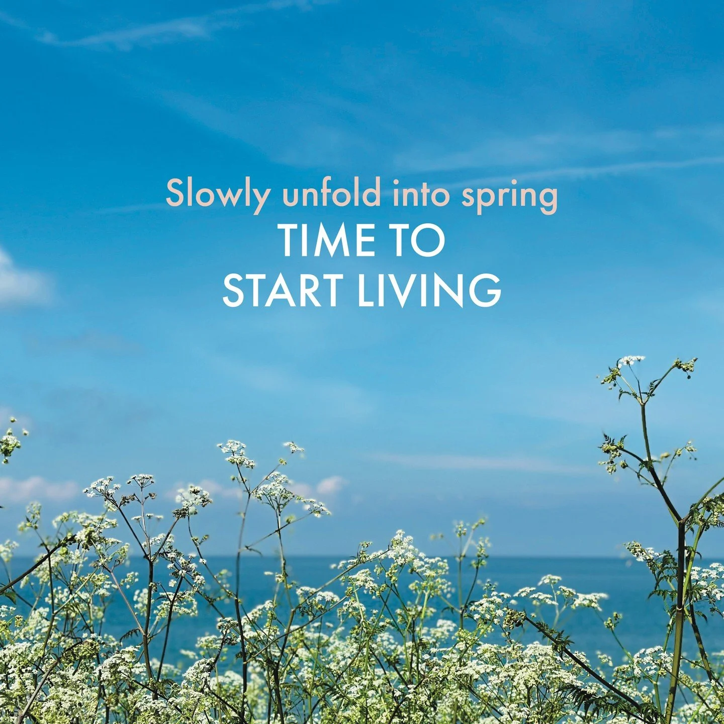 The world is blooming. So are you. 🌸⁠
⁠
Stop postponing the life you actually want &mdash; step outside, breathe it in, and say yes to everything that makes you feel alive this season. Spring doesn't wait, and neither should you. ✨🌿⁠
⁠
New energy. 