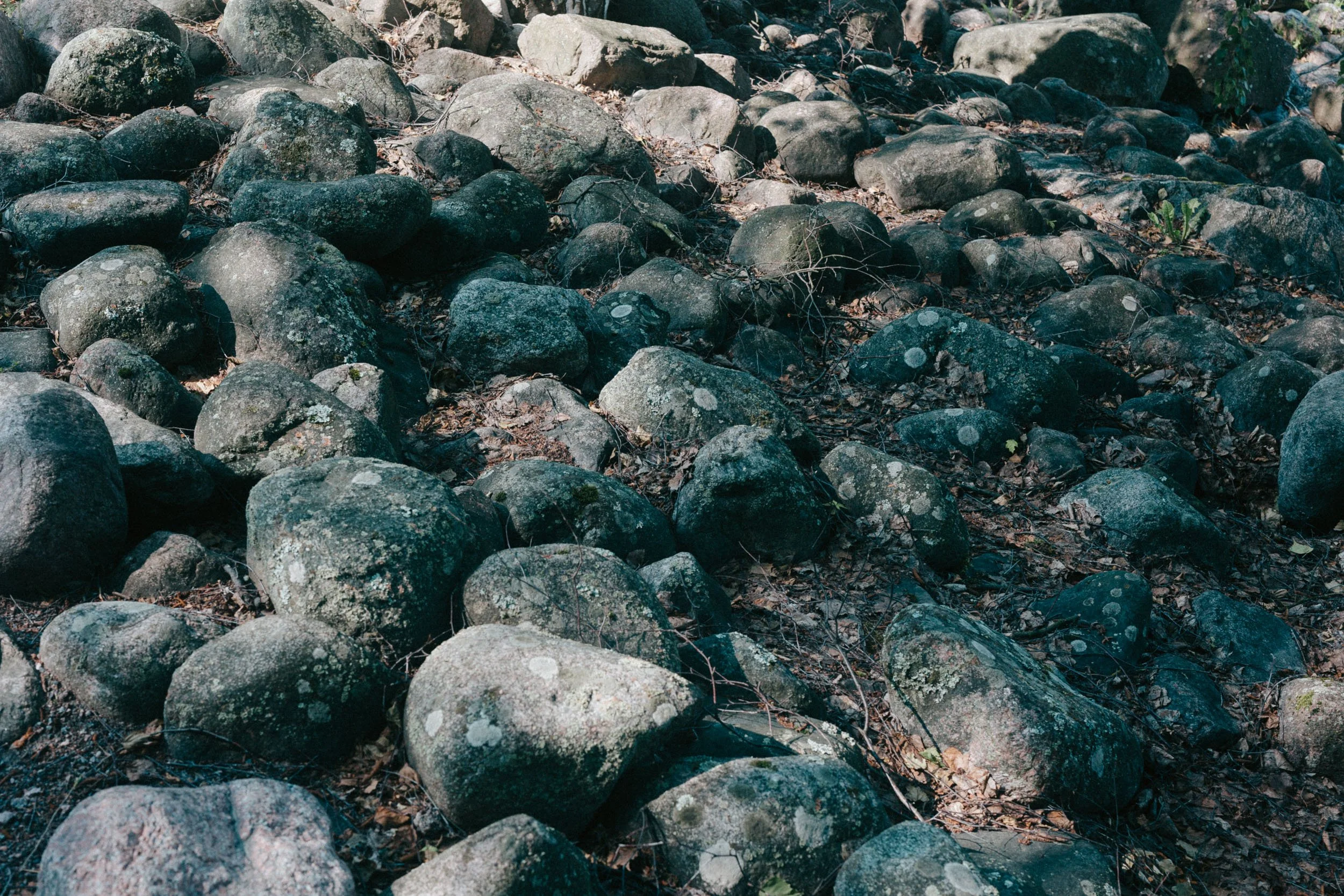 KUVAUSHAASTEIX (21 of 21).jpg