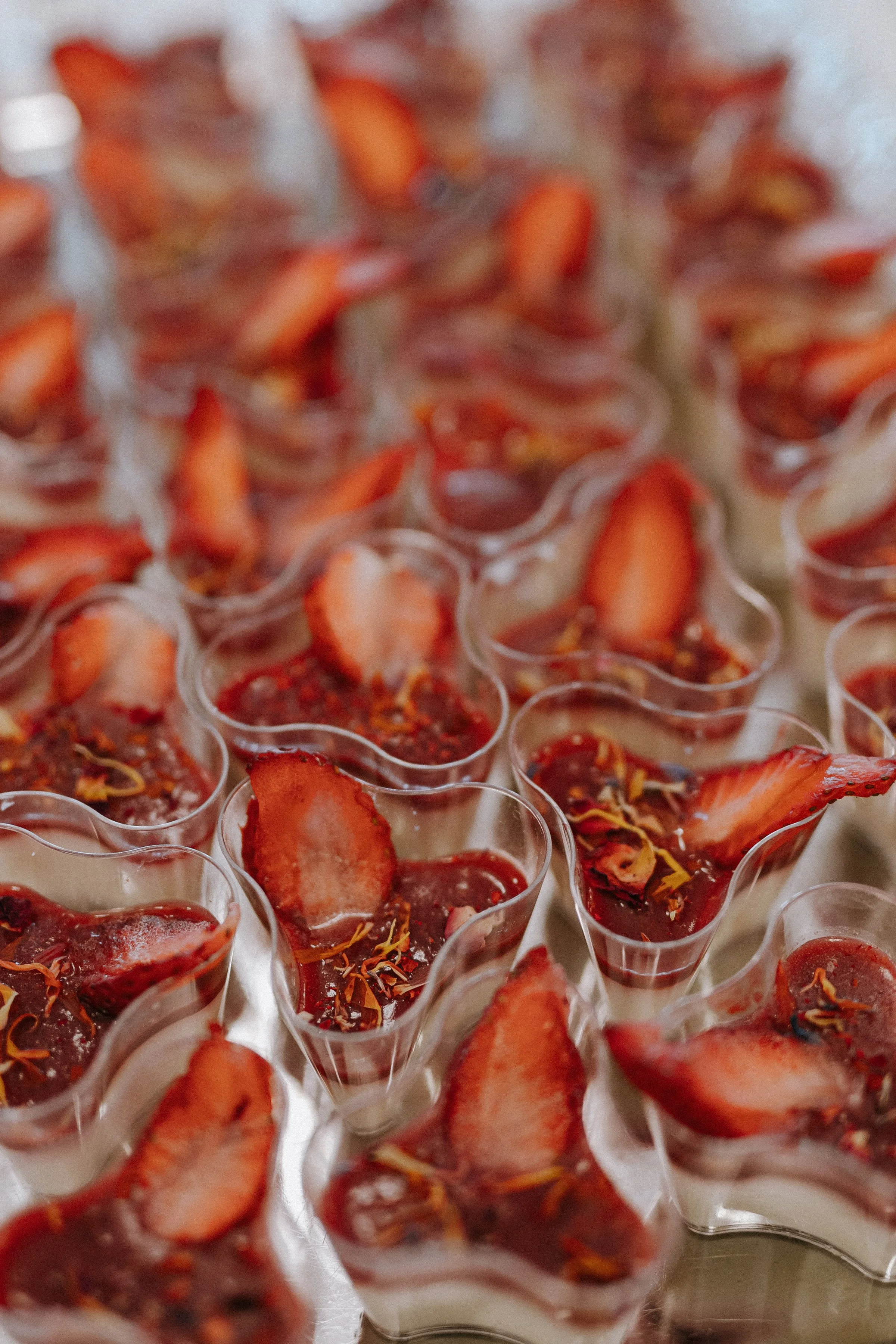 Dentina_cocktail_web (16 of 57).jpg