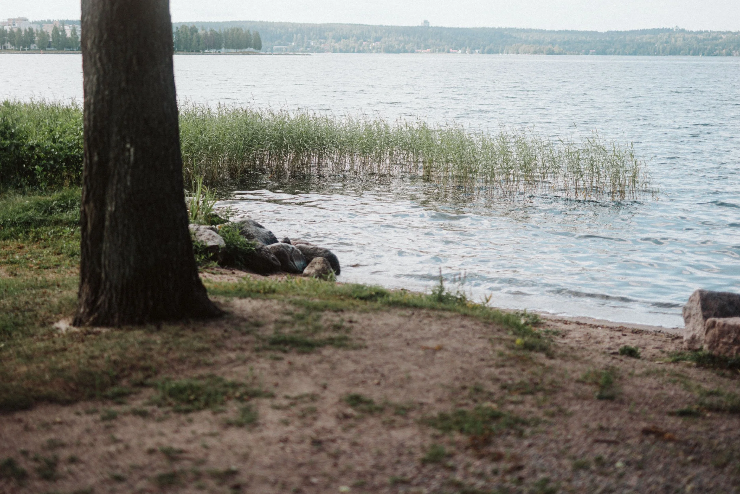 Federleyt-portfolio (2 of 127).jpg