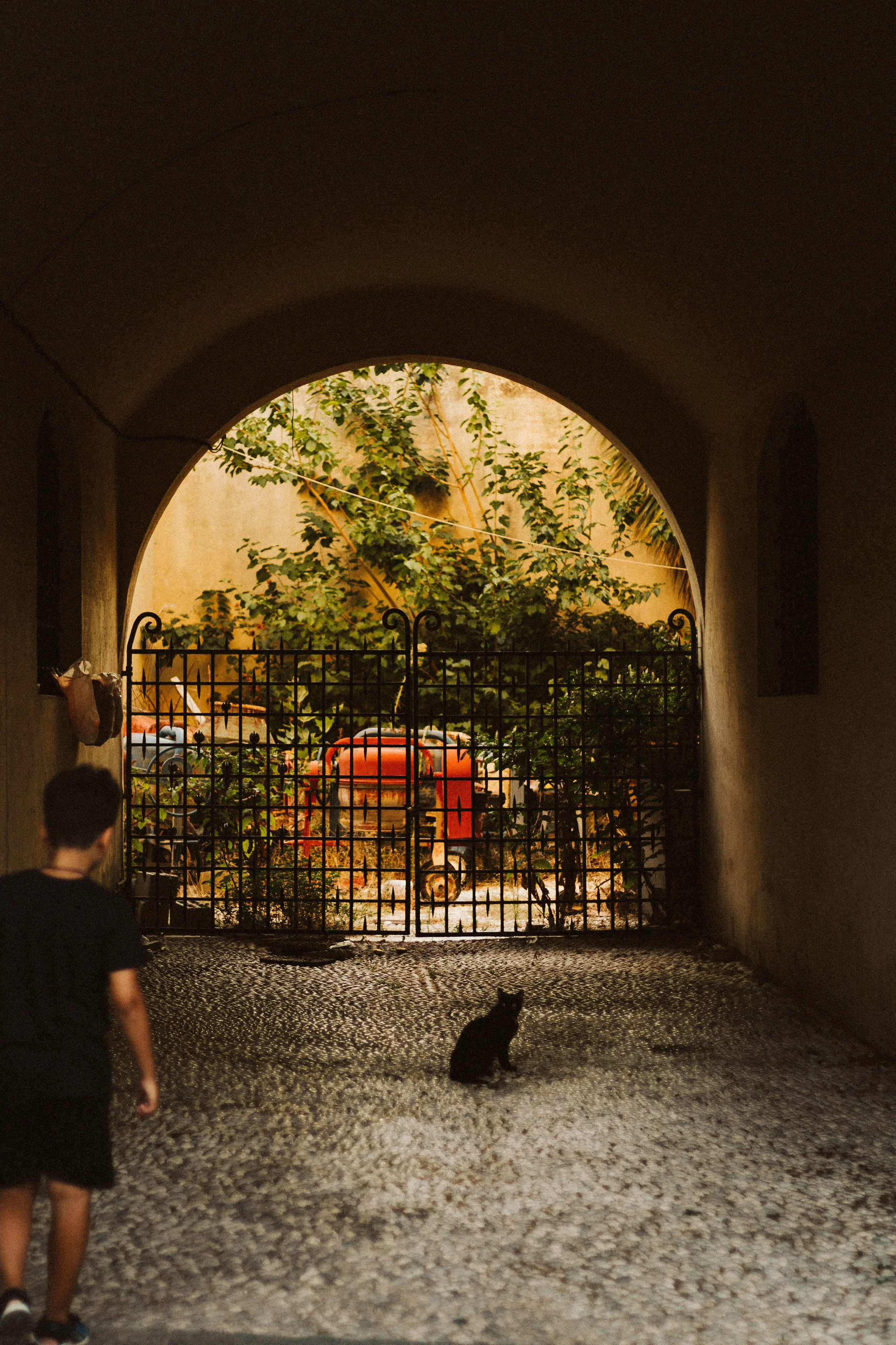 Rodos (28 of 182).jpg