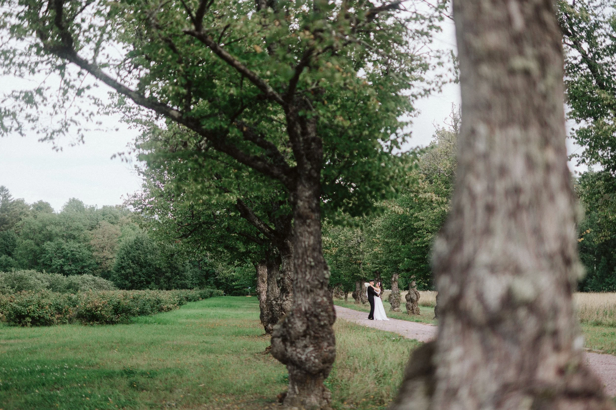 Aspit-portfolio (47 of 102).jpg