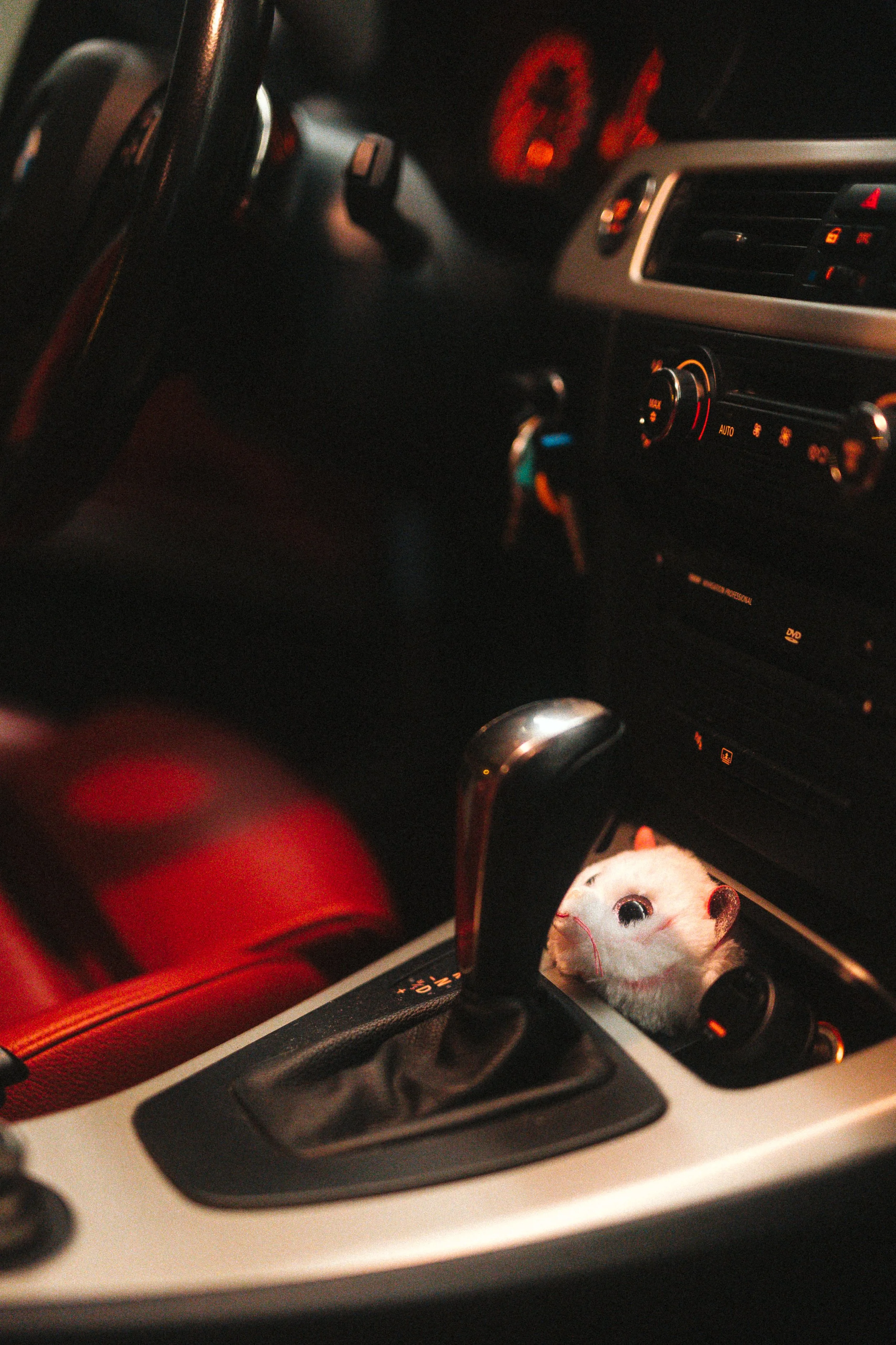 bemmit (26 of 30).jpg