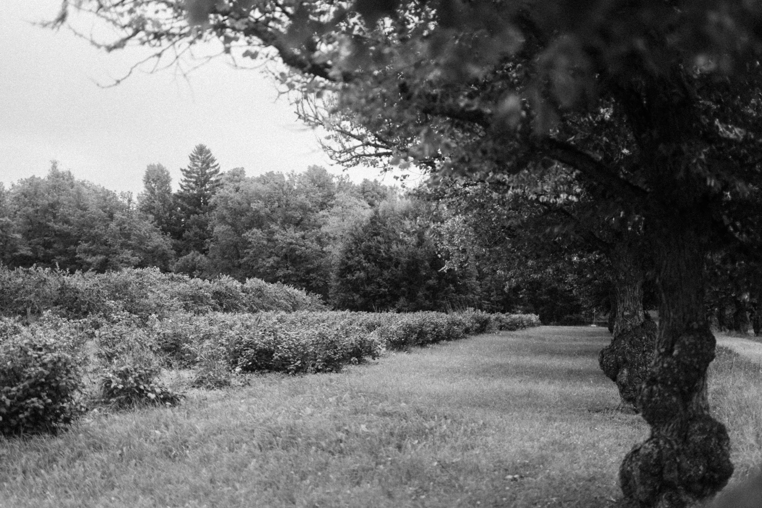 Aspit-portfolio (19 of 102).jpg