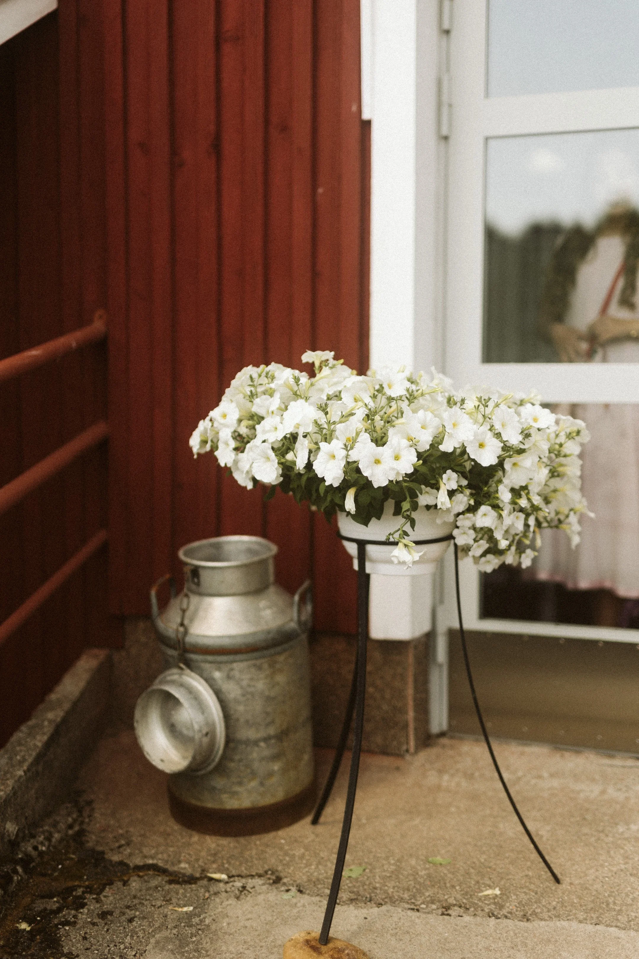 Hyvoset-portfiolio (73 of 101).jpg