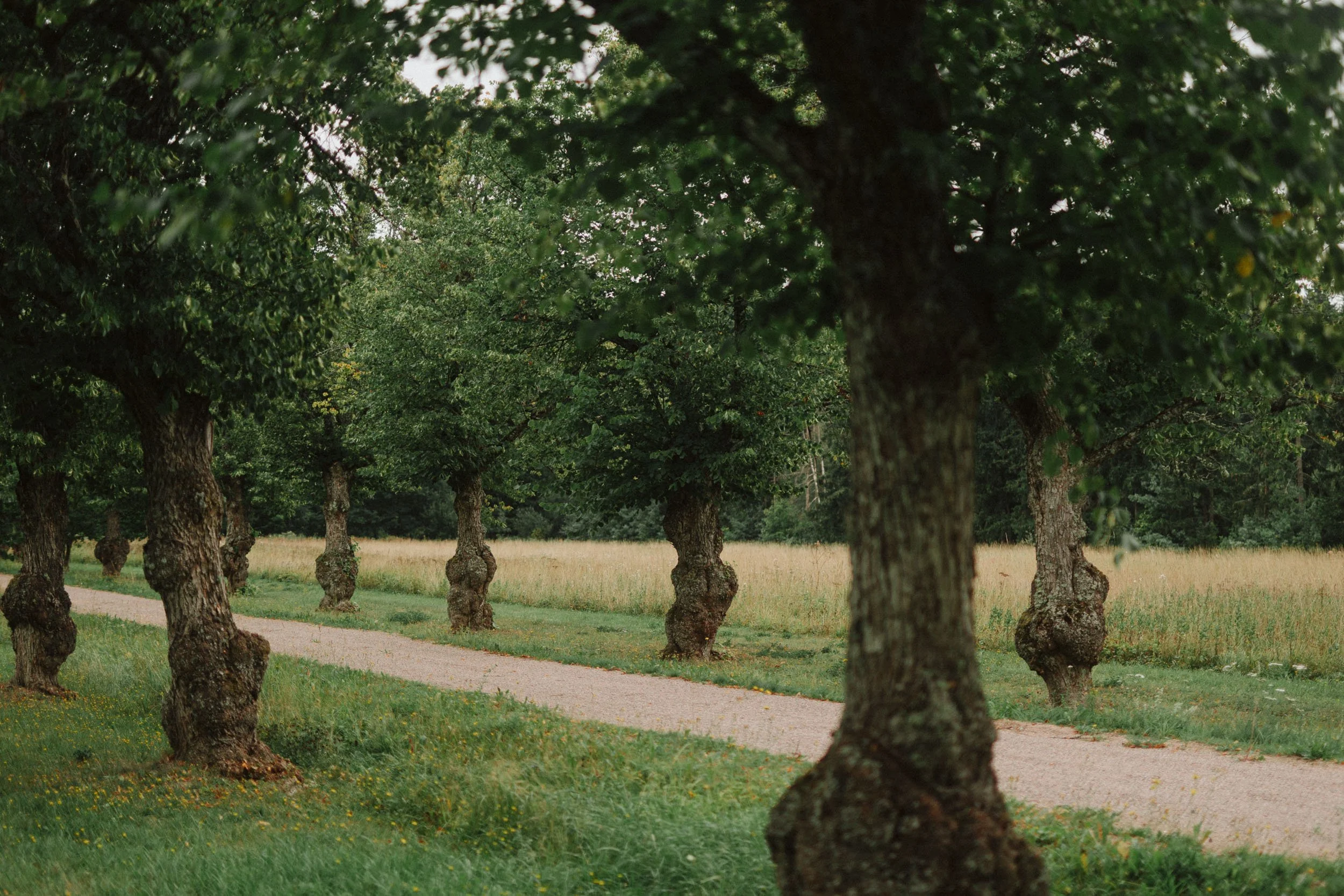 Aspit-portfolio (21 of 102).jpg