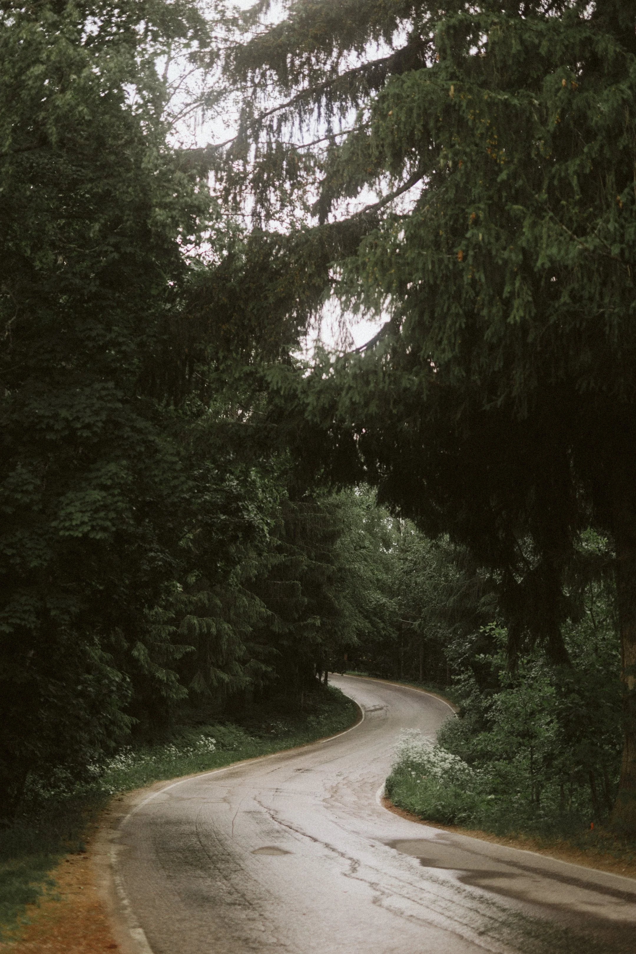 Pasaset-portfiolio (82 of 111).jpg