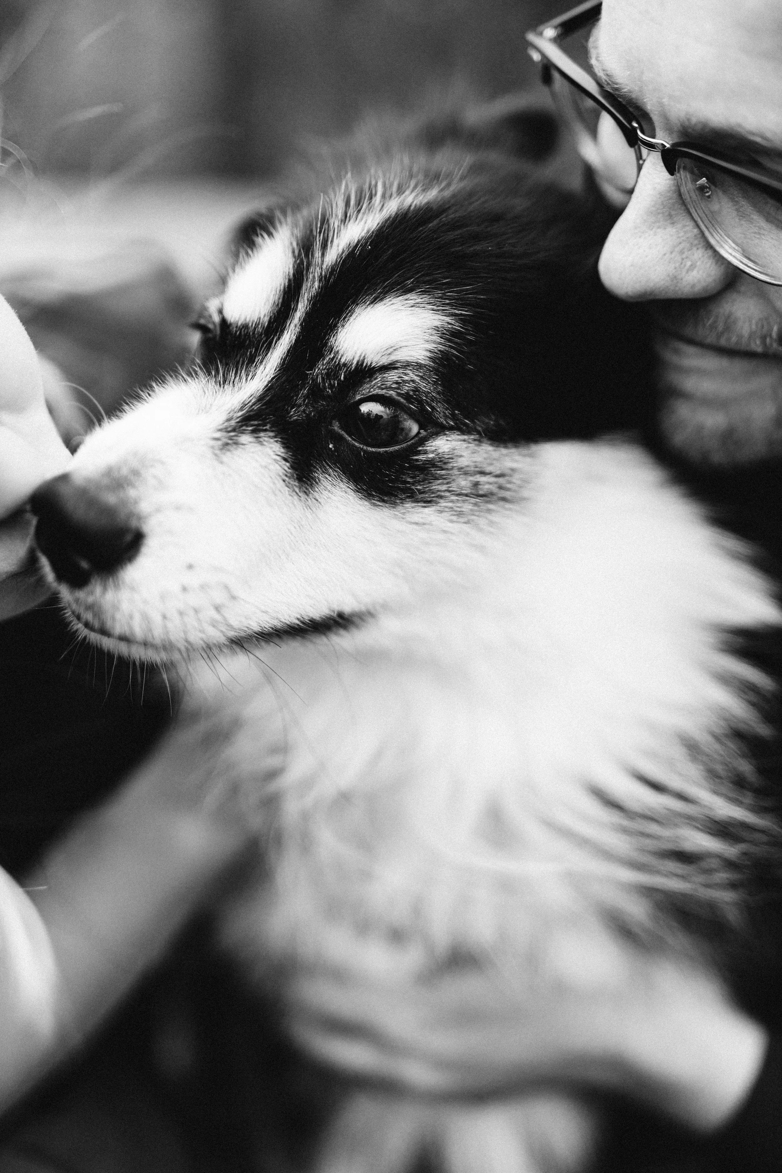 Tuuli & Valtteri (17 of 34).jpg