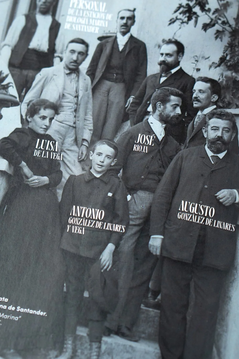 diseno catalogo expo luisa de la vega ruth martin larulotte ieo csic mmc santander 4.jpg