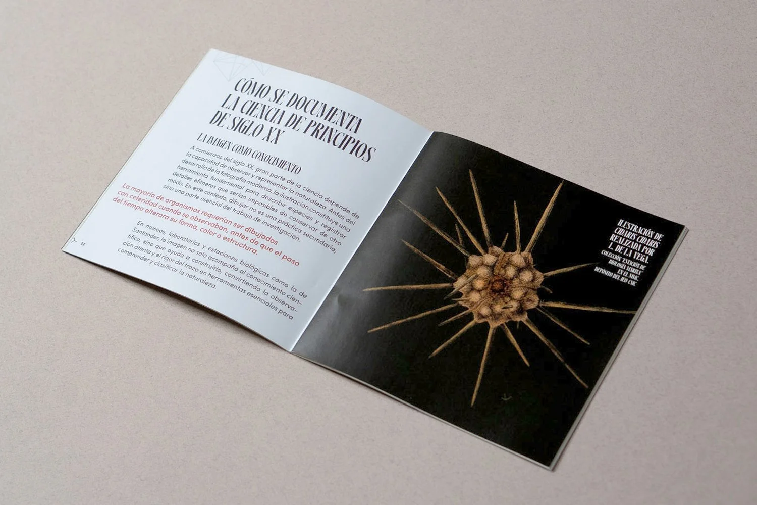 diseno catalogo expo luisa de la vega ruth martin larulotte ieo csic mmc santander 8.jpg
