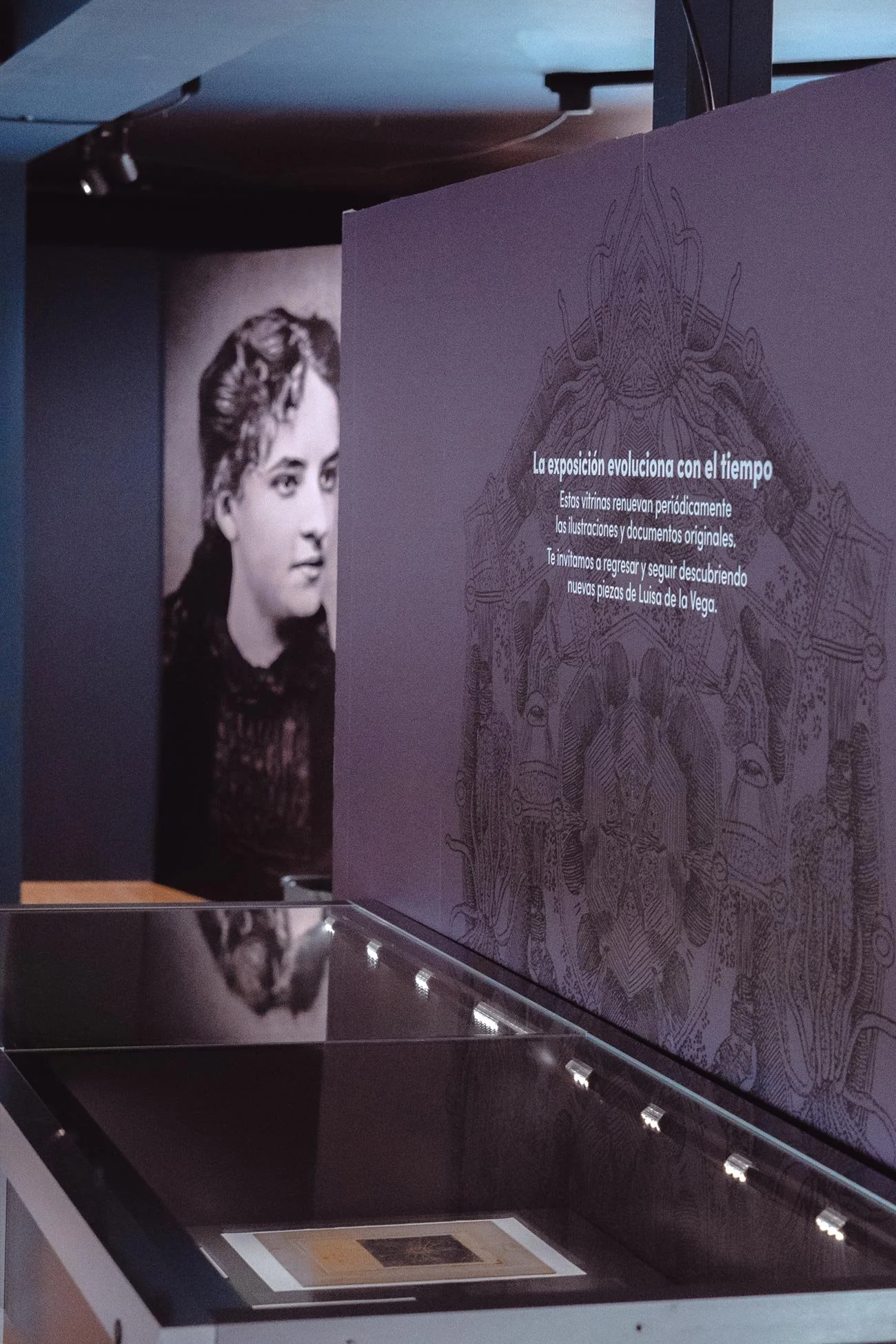 Diseño expositivo de la exposición Luisa de la Vega realizado por Ruth Martin LaRulotte para el Museo Marítimo del Cantábrico MMC en Santander, en colaboración con el Centro Oceanográfico de Santander IEO-CSIC