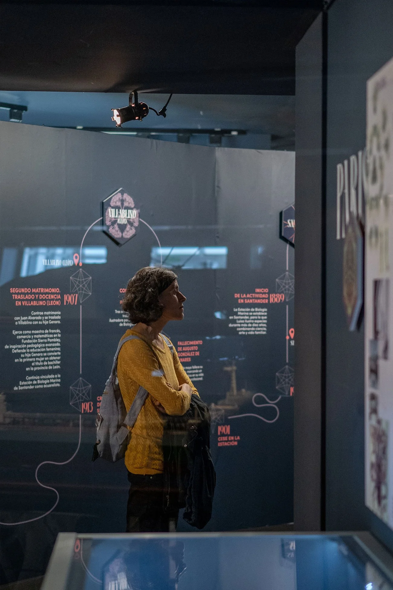 Diseño expositivo de la exposición Luisa de la Vega realizado por Ruth Martin LaRulotte para el Museo Marítimo del Cantábrico MMC en Santander, en colaboración con el Centro Oceanográfico de Santander IEO-CSIC